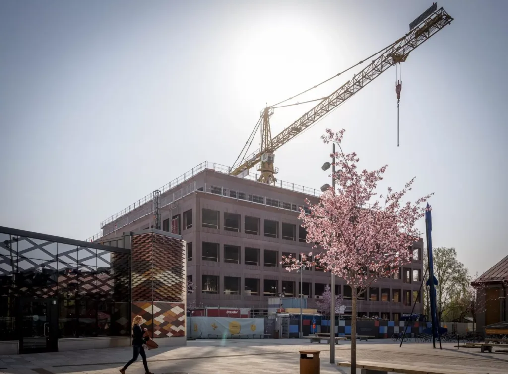 En byggarbetsplats med ett byggnadsskal, en stor byggkran och ett blommande körsbärsträd i förgrunden.