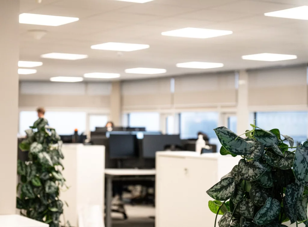 Ett kontorslandskap med arbetsstationer, datorer och gröna växter som delar upp rummet.