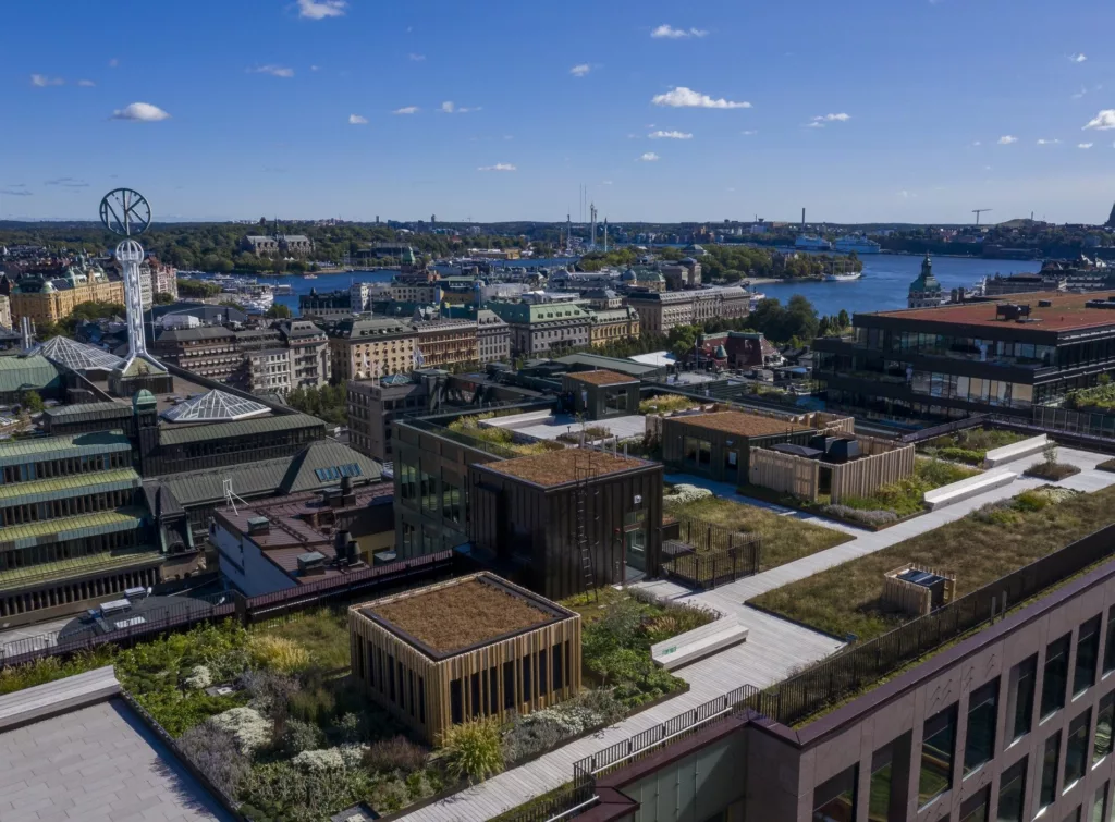 En stadsvy med gröna tak och byggnader, omgiven av vatten och en klar blå himmel.