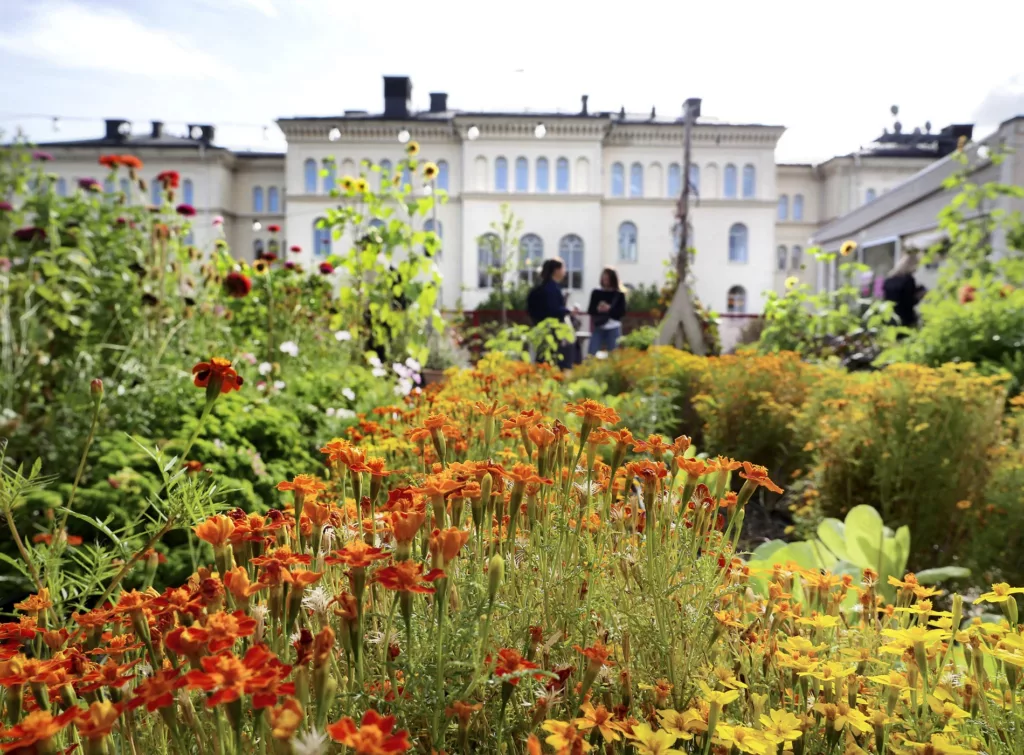 3. En trädgård full av orange och gula blommor framför en stor, ljus byggnad med flera fönster.