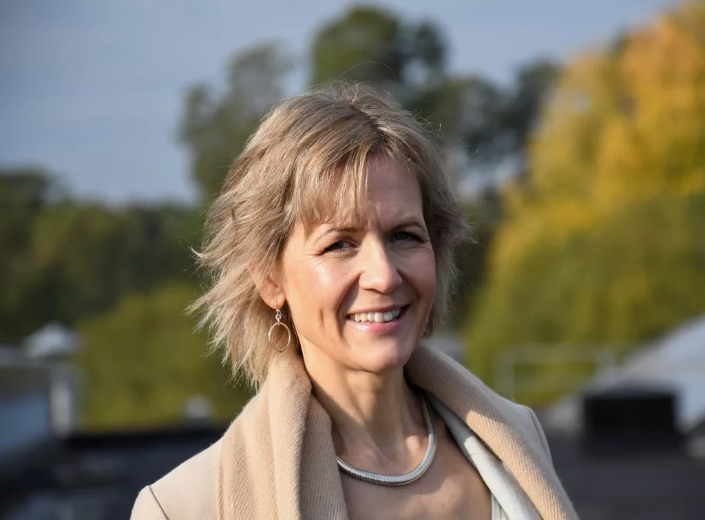 Porträttbild på Louis Ödlund, energiprofessor vid Linköpings universitet.