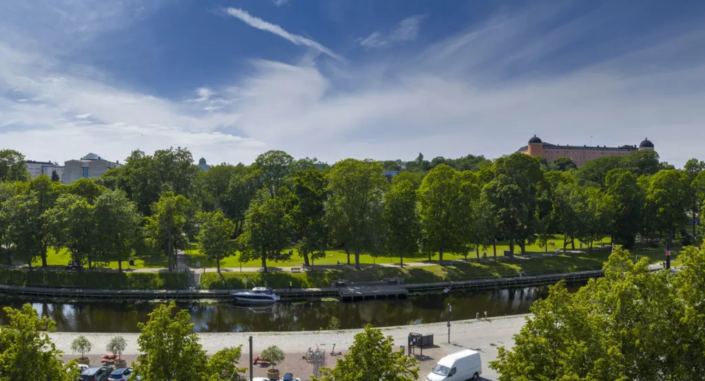 En park med träd och en kanal med båtar under en klarblå himmel.