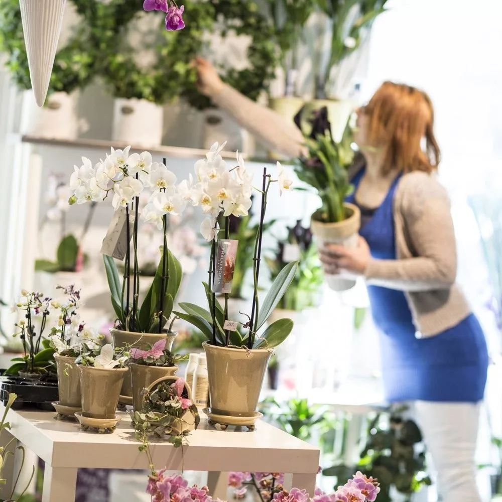 En kvinna i blå kläder arrangerar blommor i en butik fylld med krukväxter.