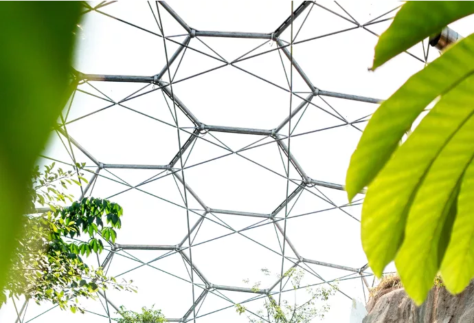 5. En geometrisk kupolstruktur med hexagonala mönster, omgiven av gröna träd och blad.