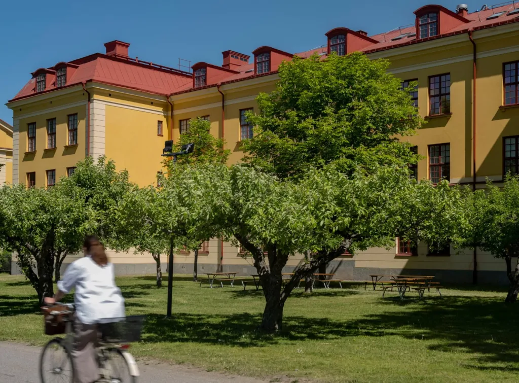 En kvinna cyklar förbi en trädgård med fruktträd framför en gul byggnad med röda tak under en klar himmel.