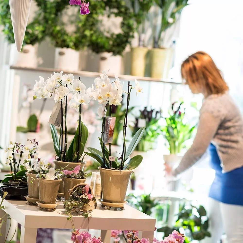 En kvinna arrangerar blommor i en butik med orkidéer och gröna växter på hyllor.