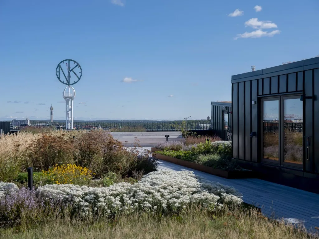 En grönskande takterrass med växter, en vattenkanal och en byggnad med stora fönster under en klarblå himmel.