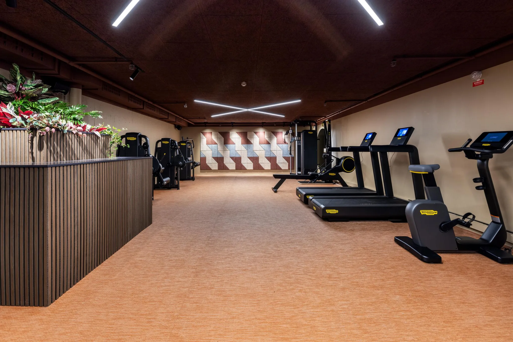 3. Ett gym med träningsmaskiner, löpband och spegelväggar under modern belysning.