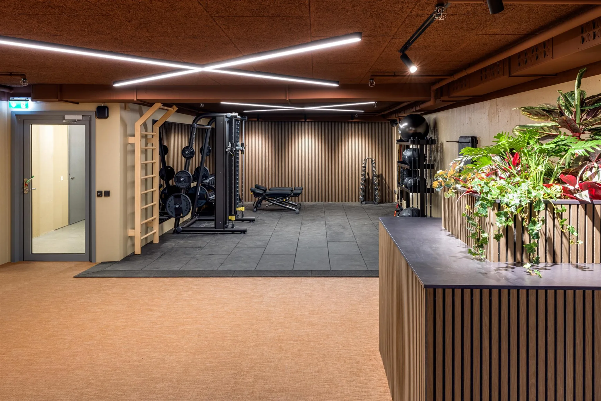 4. Ett gym med träningsutrustning, gröna växter på en receptionsdisk och belysning i taket.
