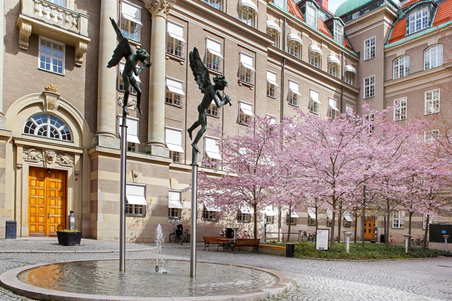 En innergård med körsbärsträd i blom, statyer och en fontän framför en byggnad med klassisk arkitektur.