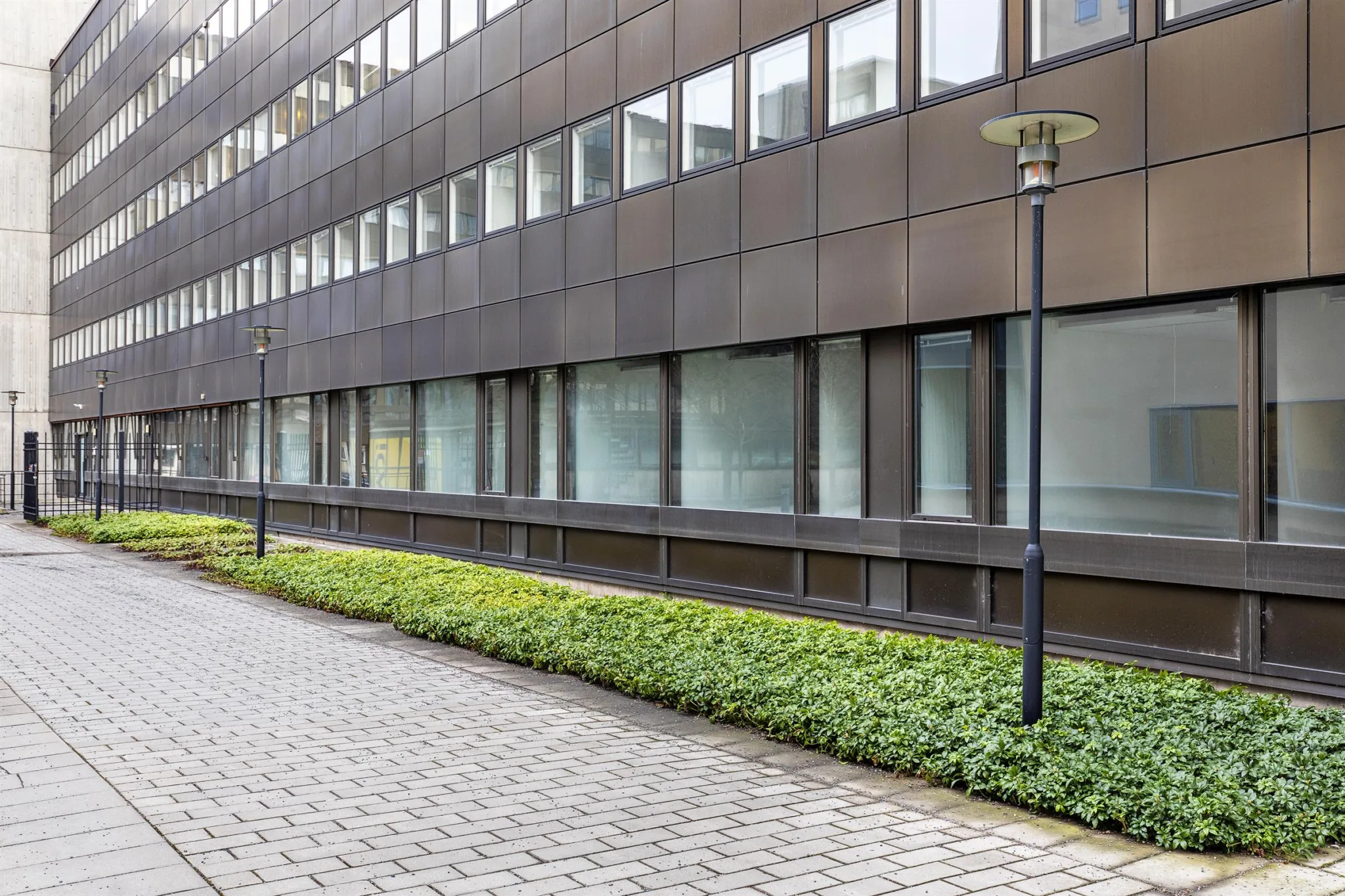3. En gångväg med grönskande buskar längs en modern byggnad med mörka fasader och stora fönster.