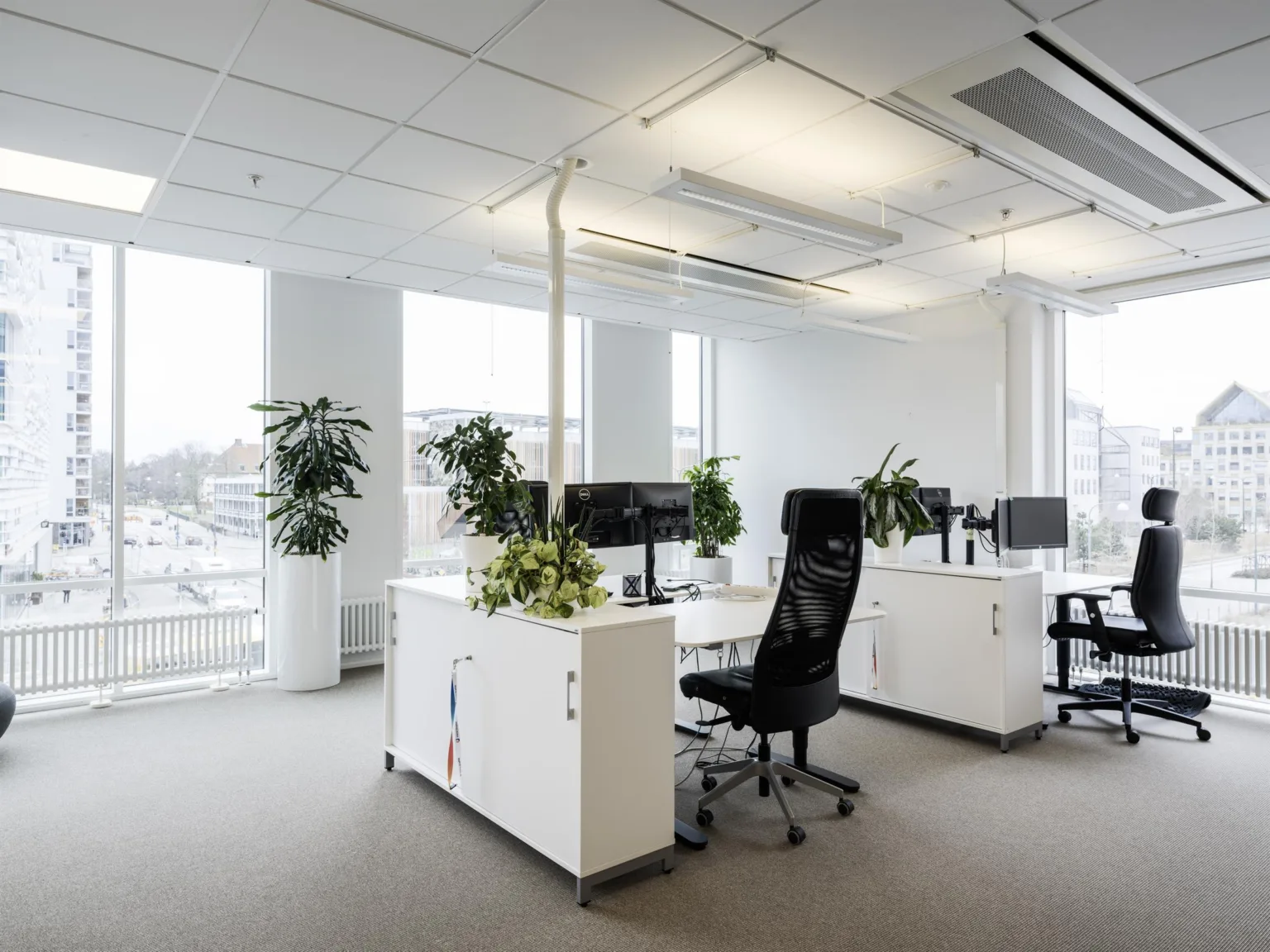4. Ett ljust kontor med vita skrivbord, datorer, svarta stolar och gröna växter nära stora fönster.