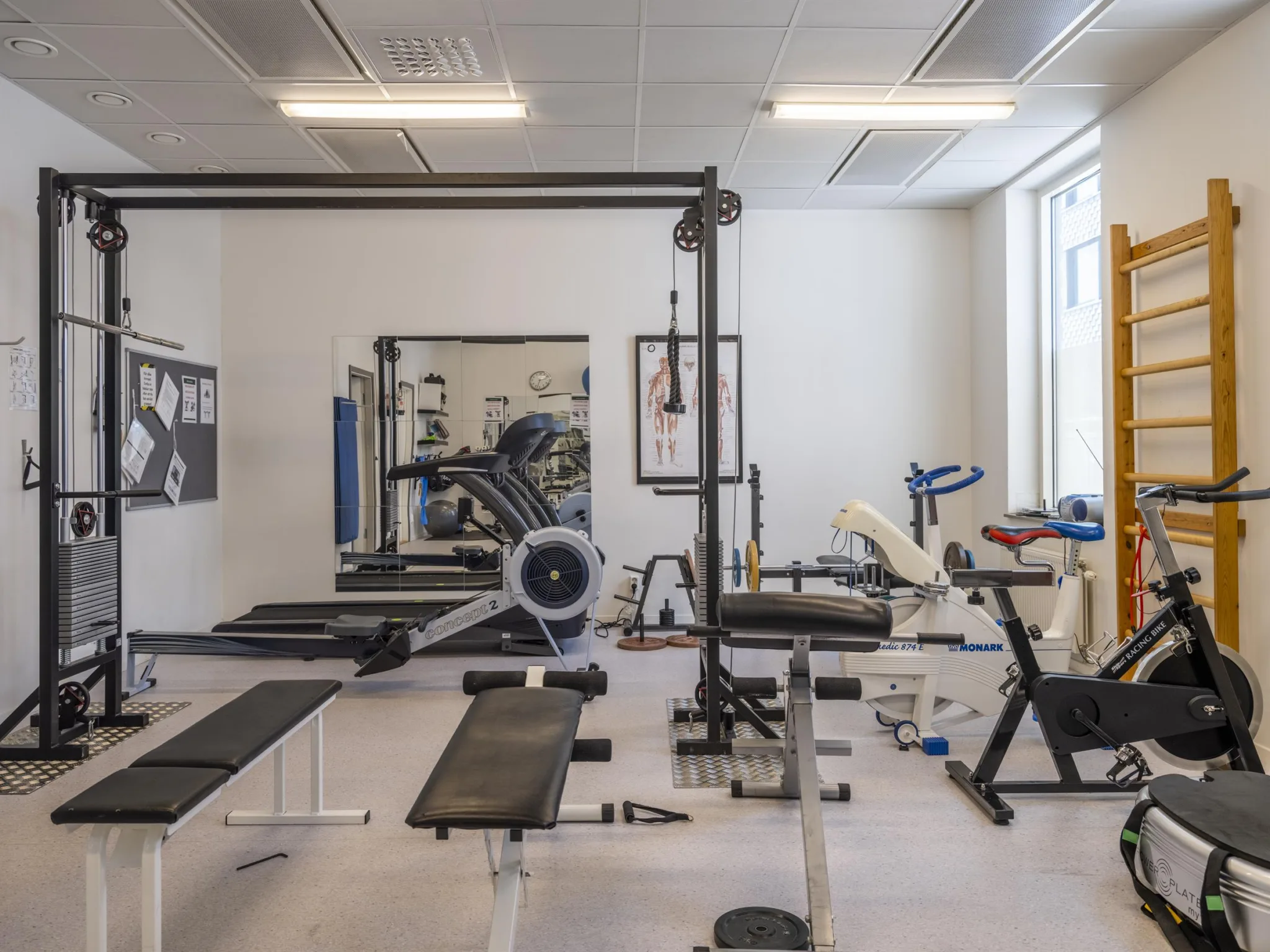 Ett gym med träningsutrustning som bänkar, maskiner, spegelvägg och fönster som släpper in ljus.