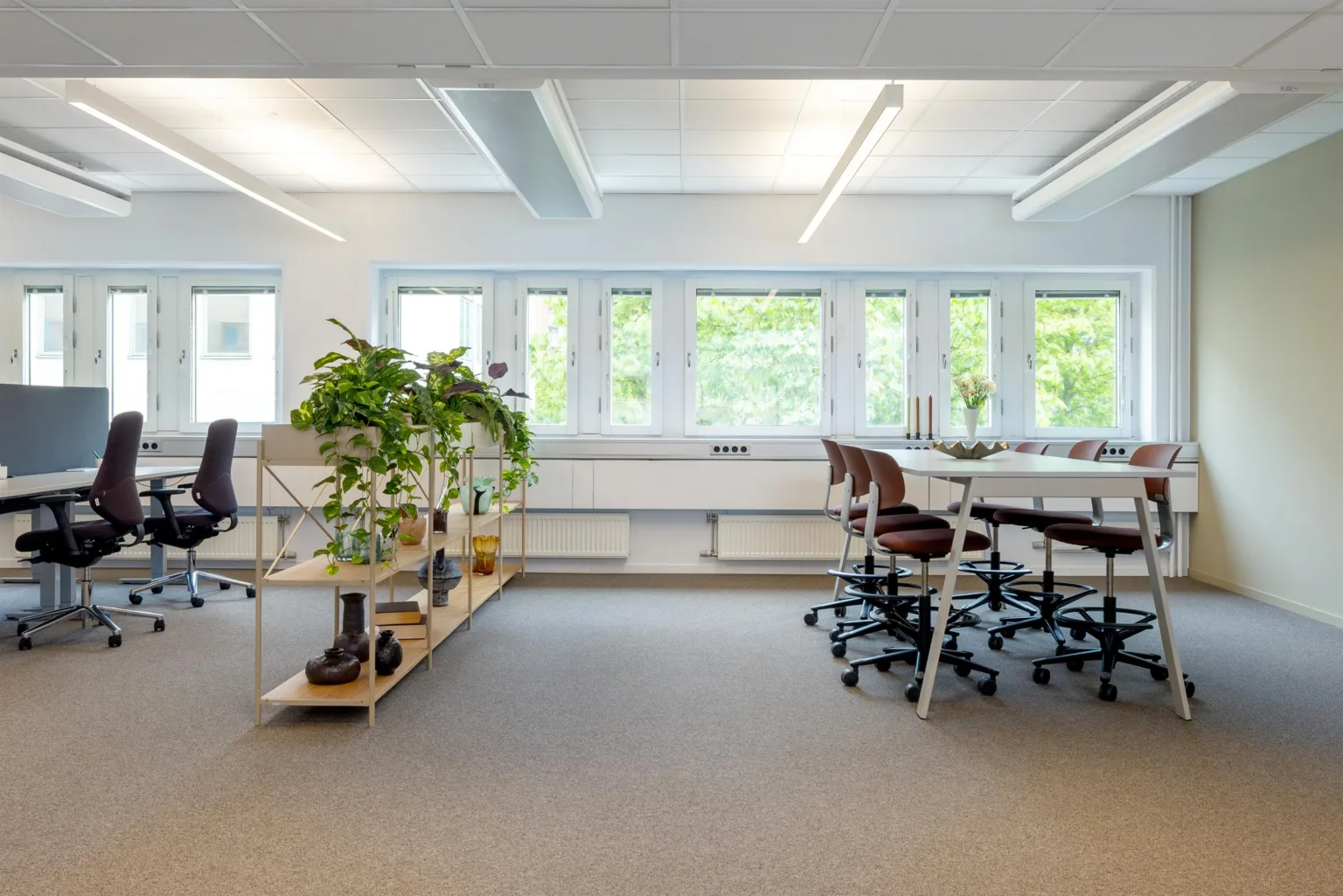 5. Ett kontorsrum med skrivbord, kontorsstolar och hyllor med grön växt, framför stora fönster med utsikt över grönska.