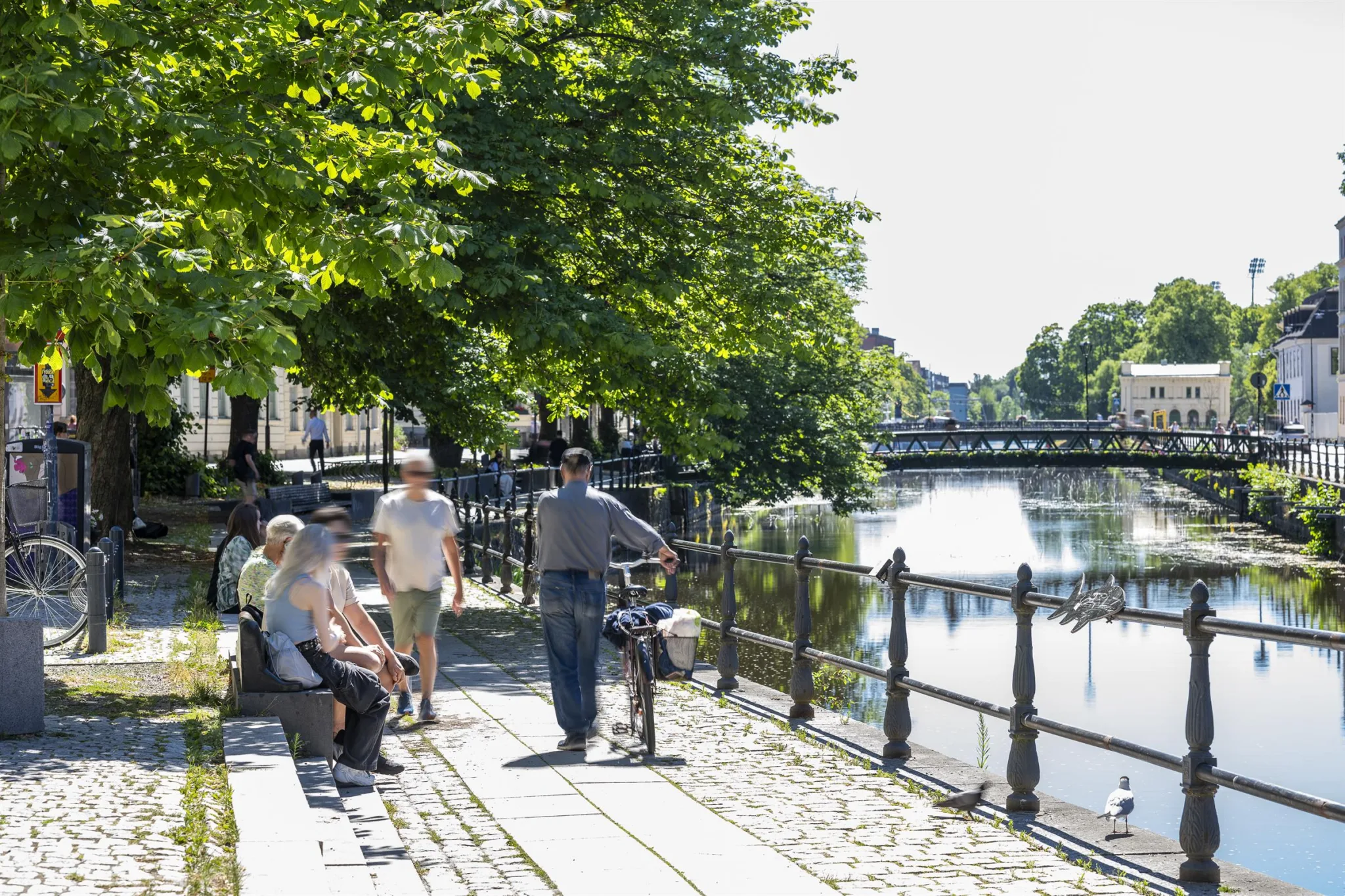 4. Promenadväg vid en kanal med människor som sitter på bänkar och går, omgiven av träd och vatten.