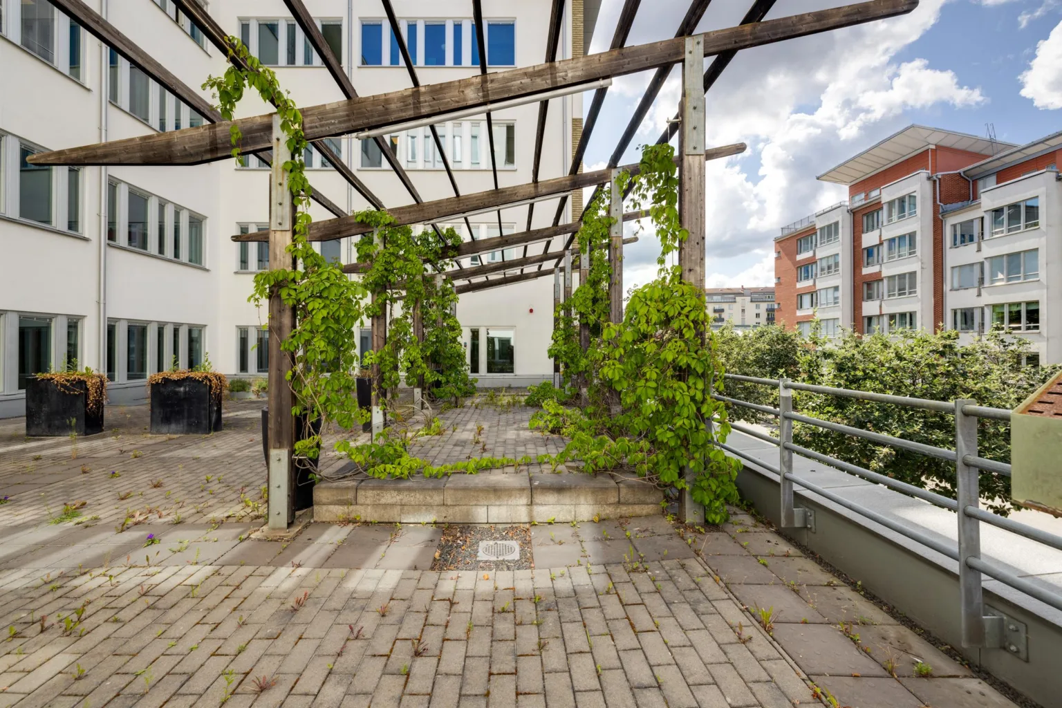 3. En innergård med träpergola täckt av klätterväxter och stenlagd mark.