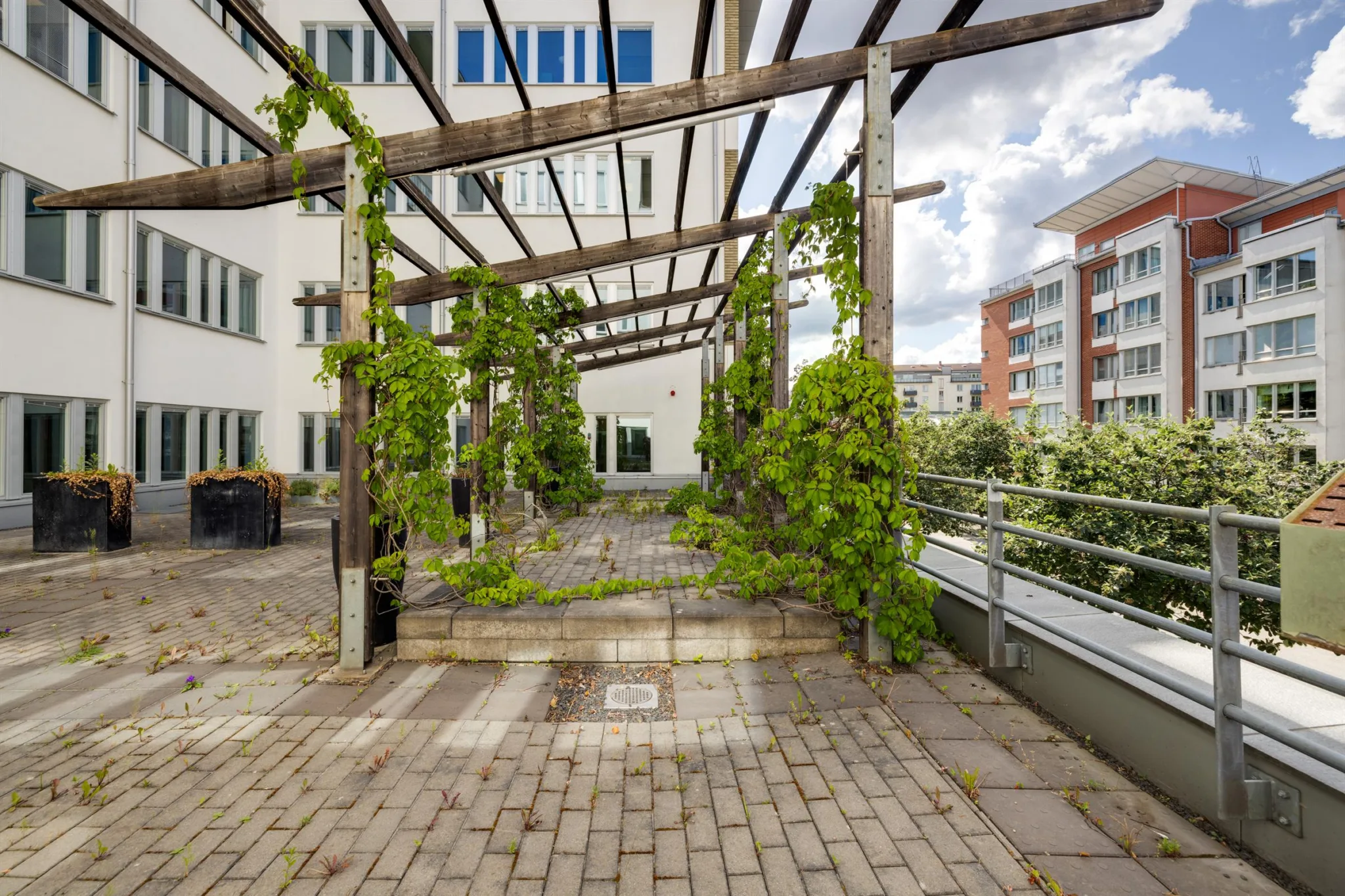 3. En innergård med träpergola täckt av klätterväxter och stenlagd mark.