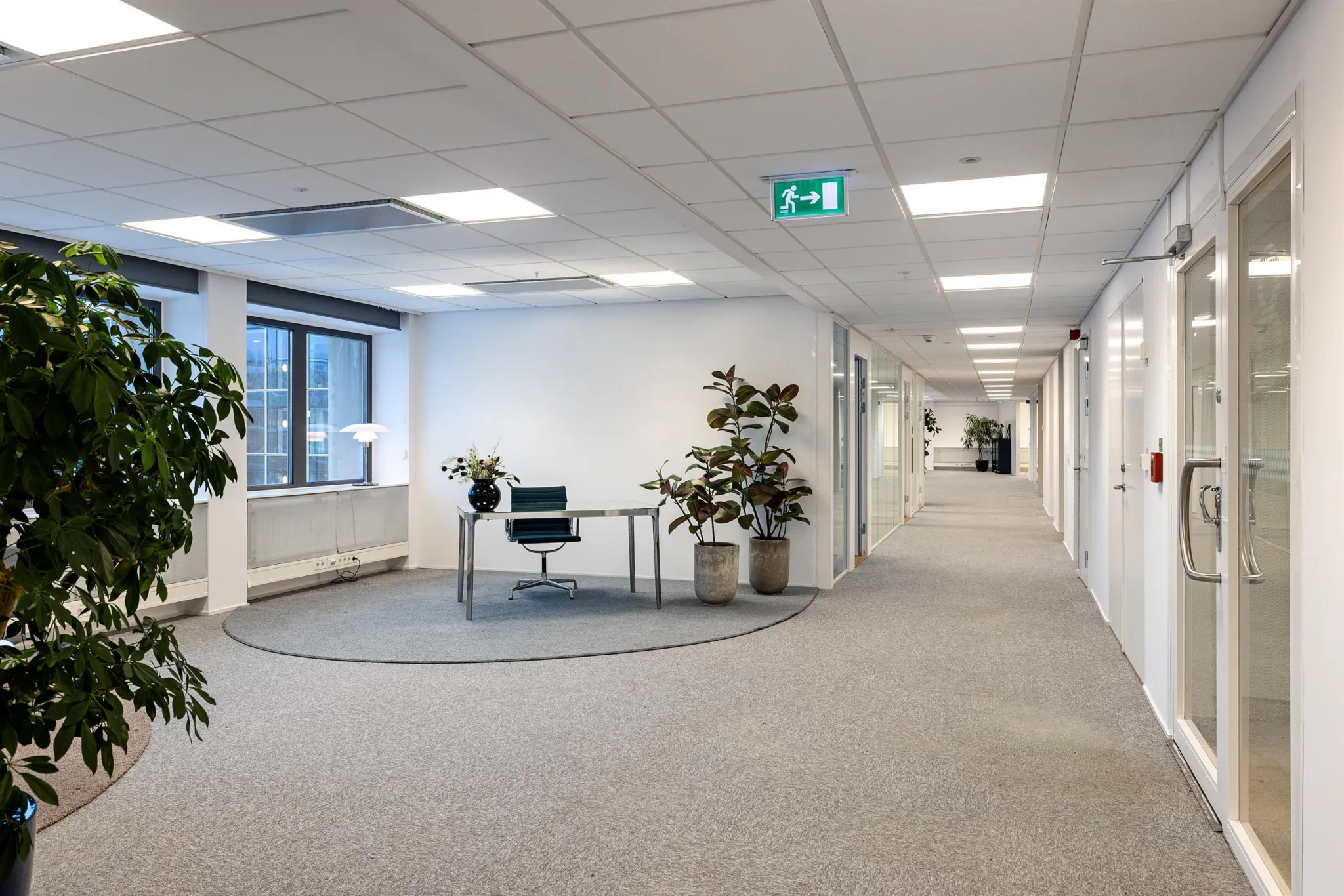 4. En öppen korridor med skrivbord, stolar och växter, samt fönster längs ena sidan.