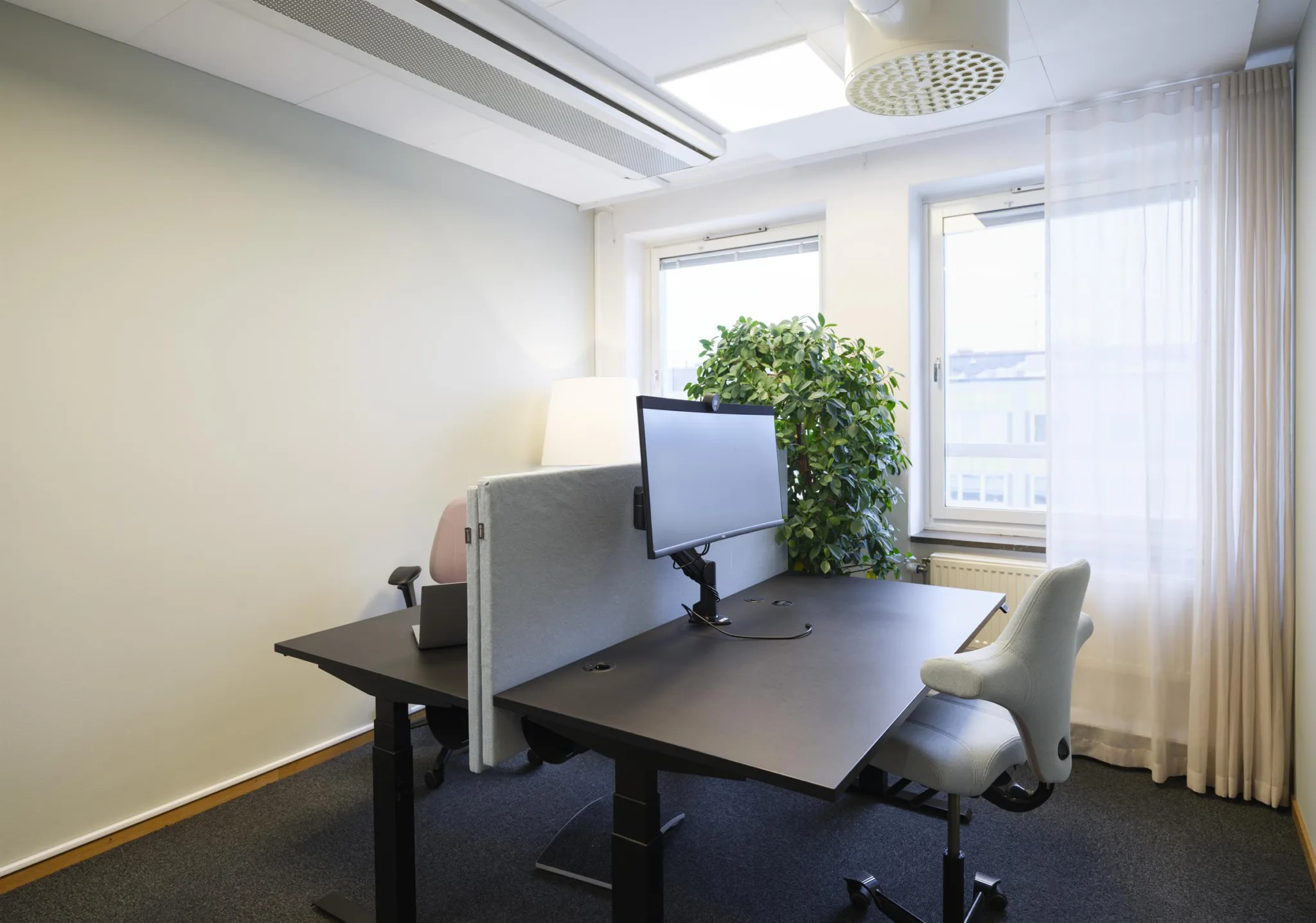 5. Ett kontorsutrymme med två skrivbord, en datorskärm och en stor grön växt vid fönstret.