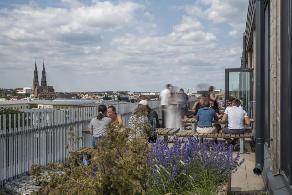 Människor sitter och står vid ett räcke nära blommande lavendel, med utsikt över vattnet och stadshus i bakgrunden under en molnig himmel.
