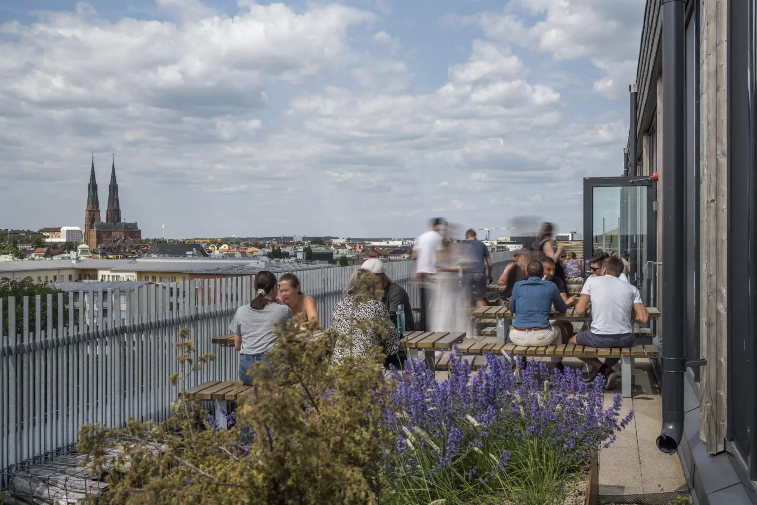 Människor sitter och står vid ett räcke nära blommande lavendel, med utsikt över vattnet och stadshus i bakgrunden under en molnig himmel.