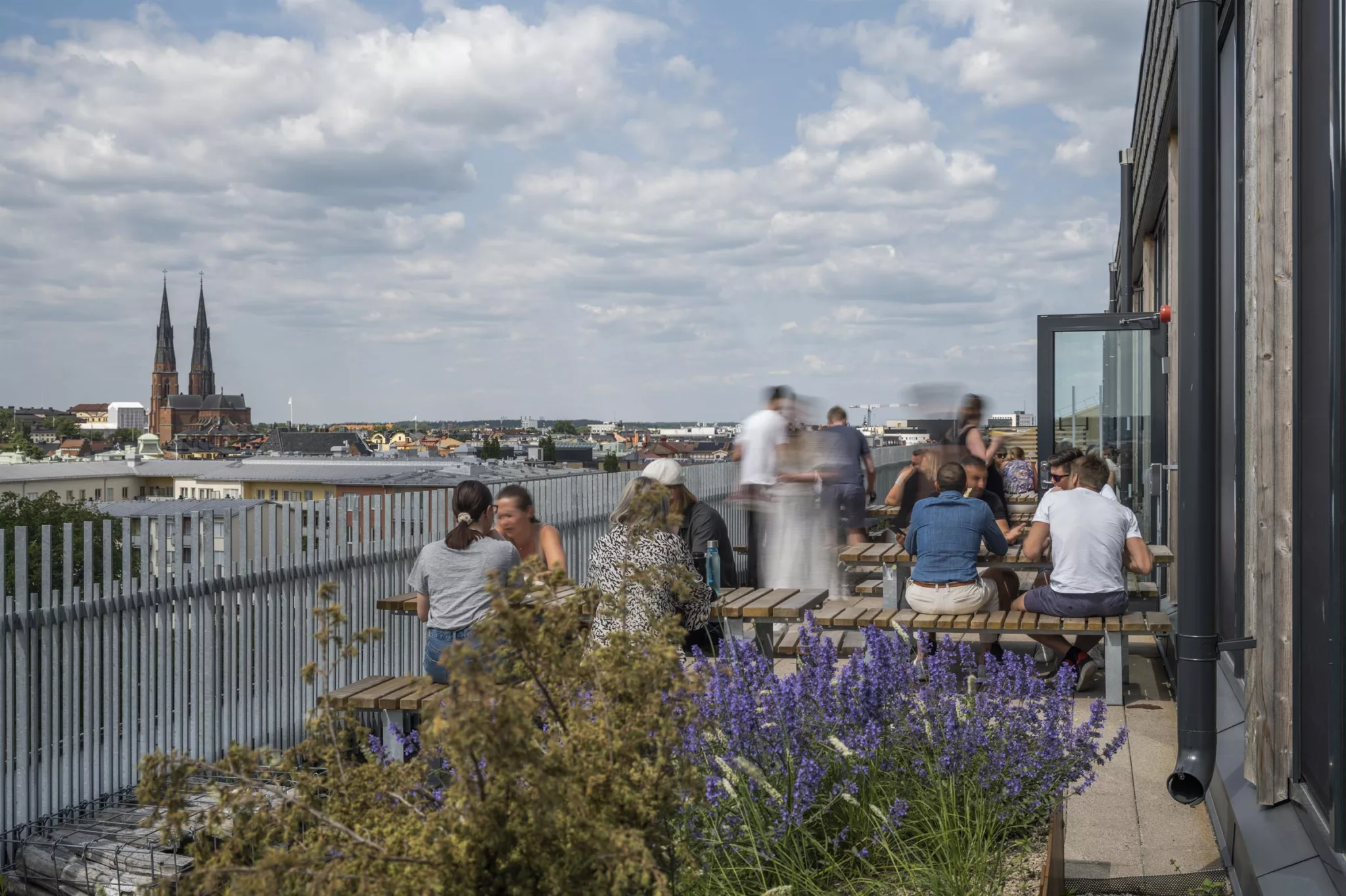 Människor sitter och står vid ett räcke nära blommande lavendel, med utsikt över vattnet och stadshus i bakgrunden under en molnig himmel.