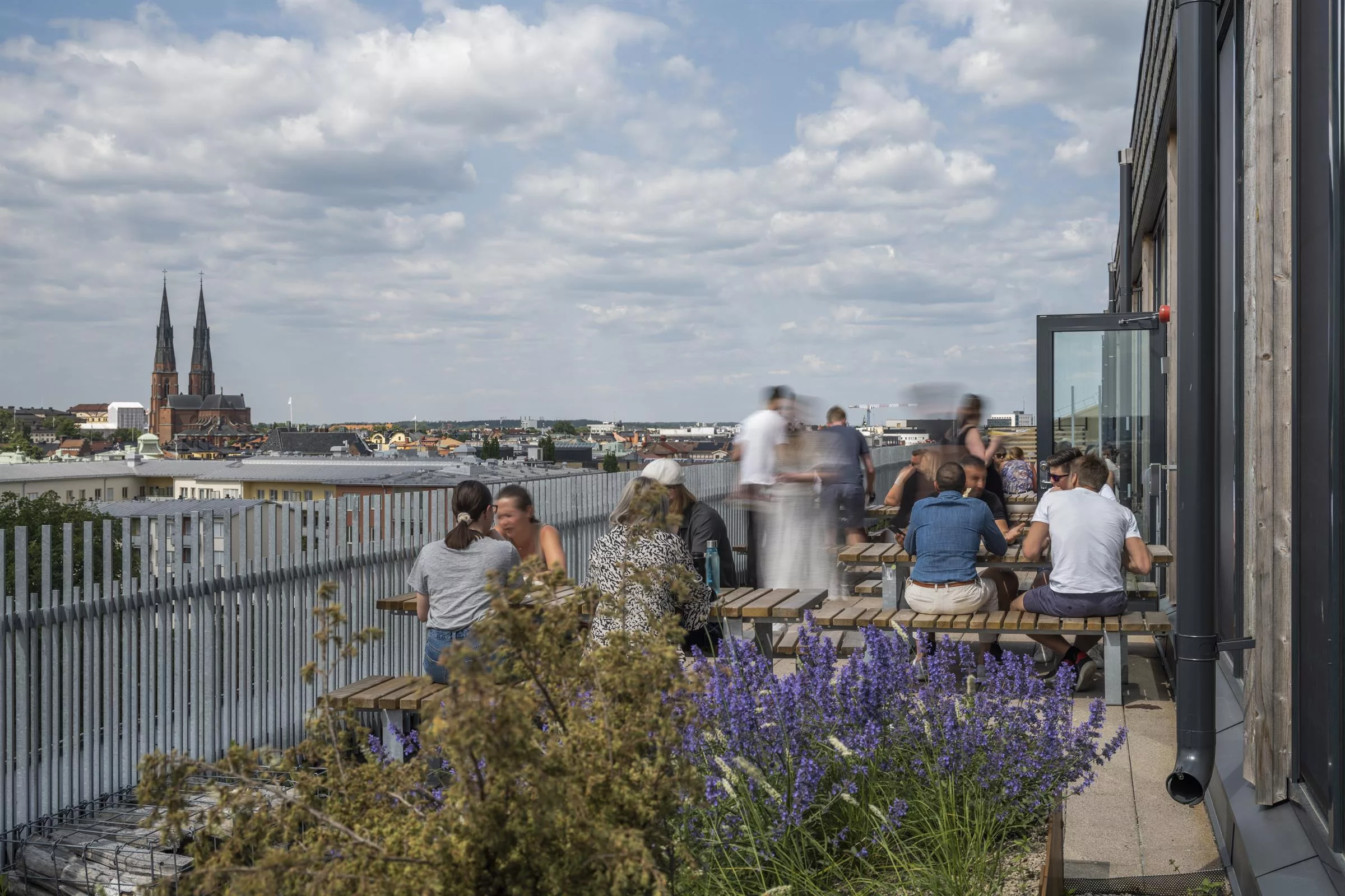 Människor sitter och står vid ett räcke nära blommande lavendel, med utsikt över vattnet och stadshus i bakgrunden under en molnig himmel.