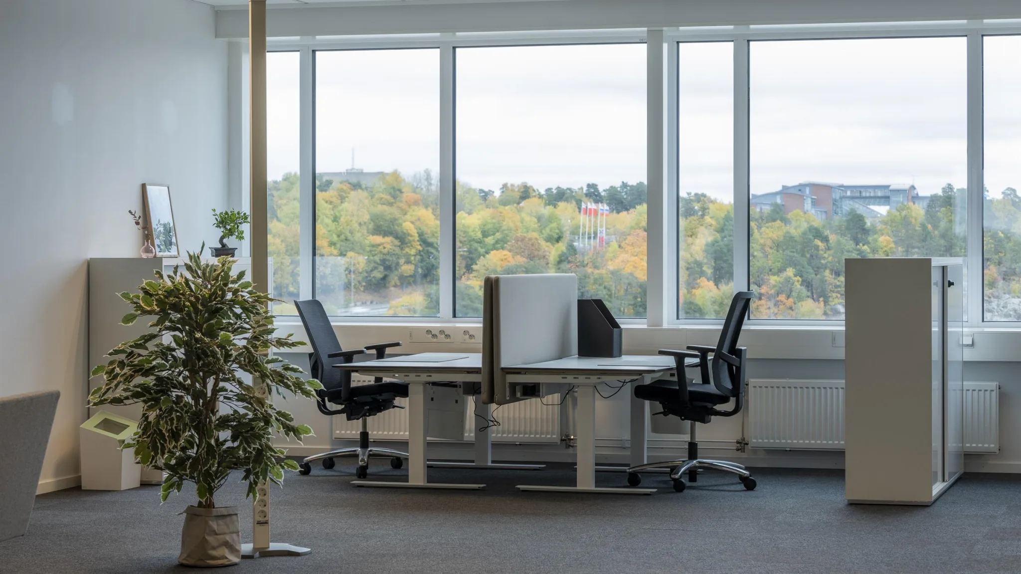 Två skrivbord med kontorsstolar placerade framför stora fönster med utsikt över träd och en grönskande miljö.