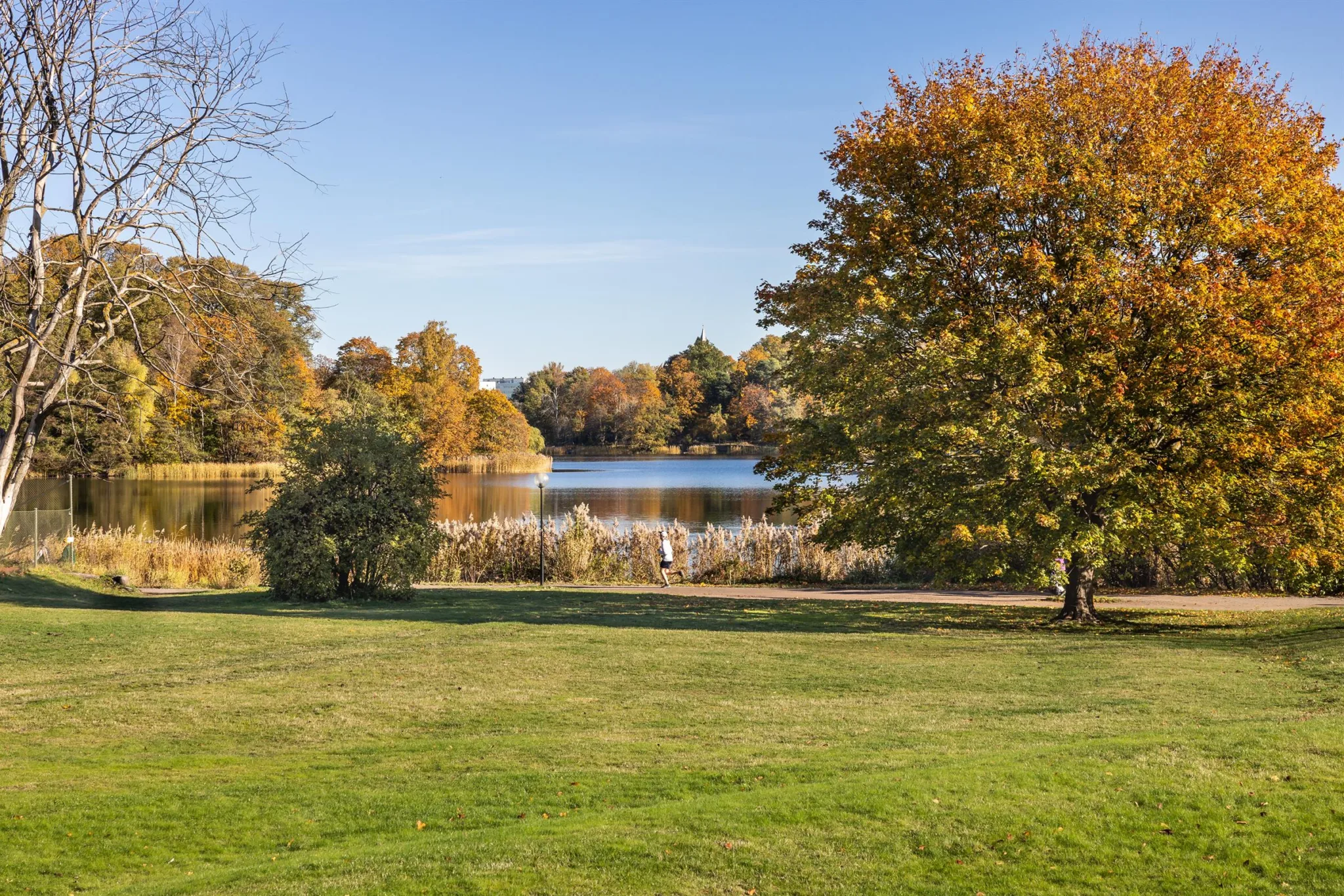 En park med en grön gräsmatta, träd med höstfärger och en sjö i bakgrunden.