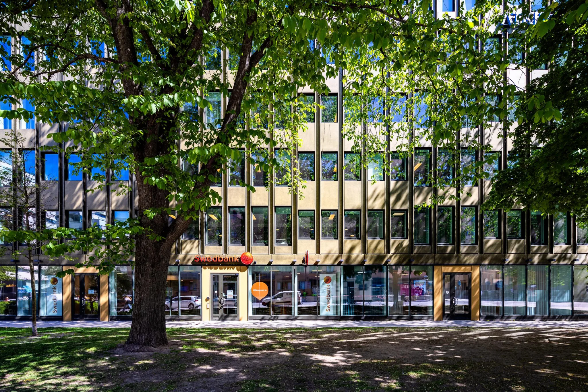 Fasad av en modern byggnad med stora glasfönster, ett träd framför och grönska i förgrunden.