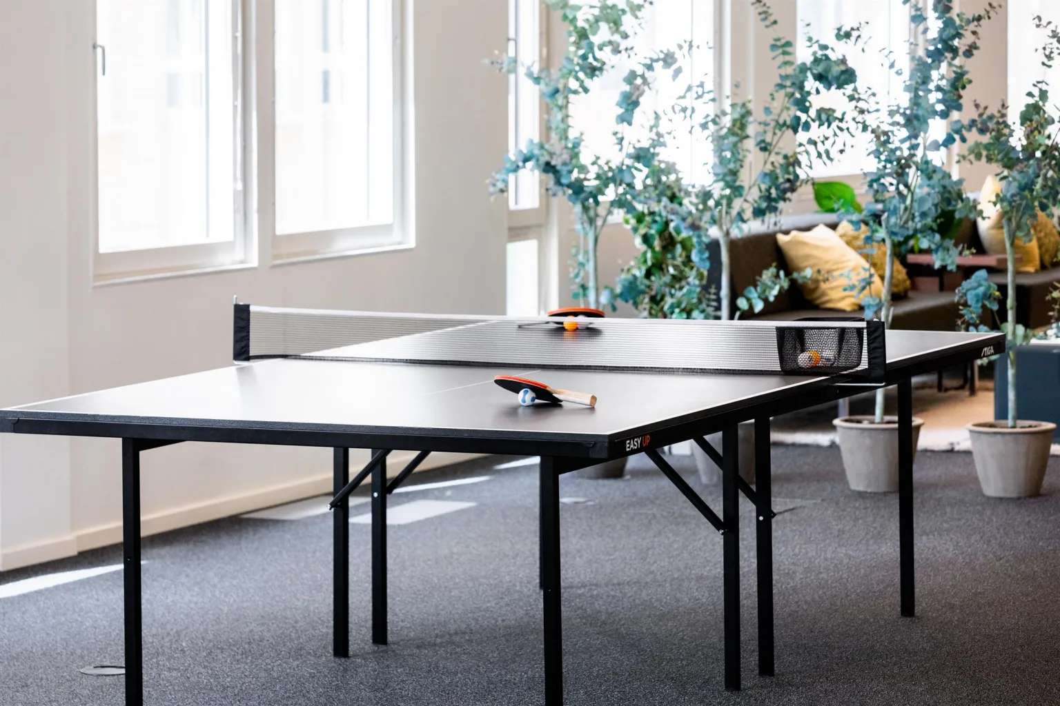 2. Ett pingisbord med racketar i ett ljust rum med stora fönster och växter i bakgrunden.