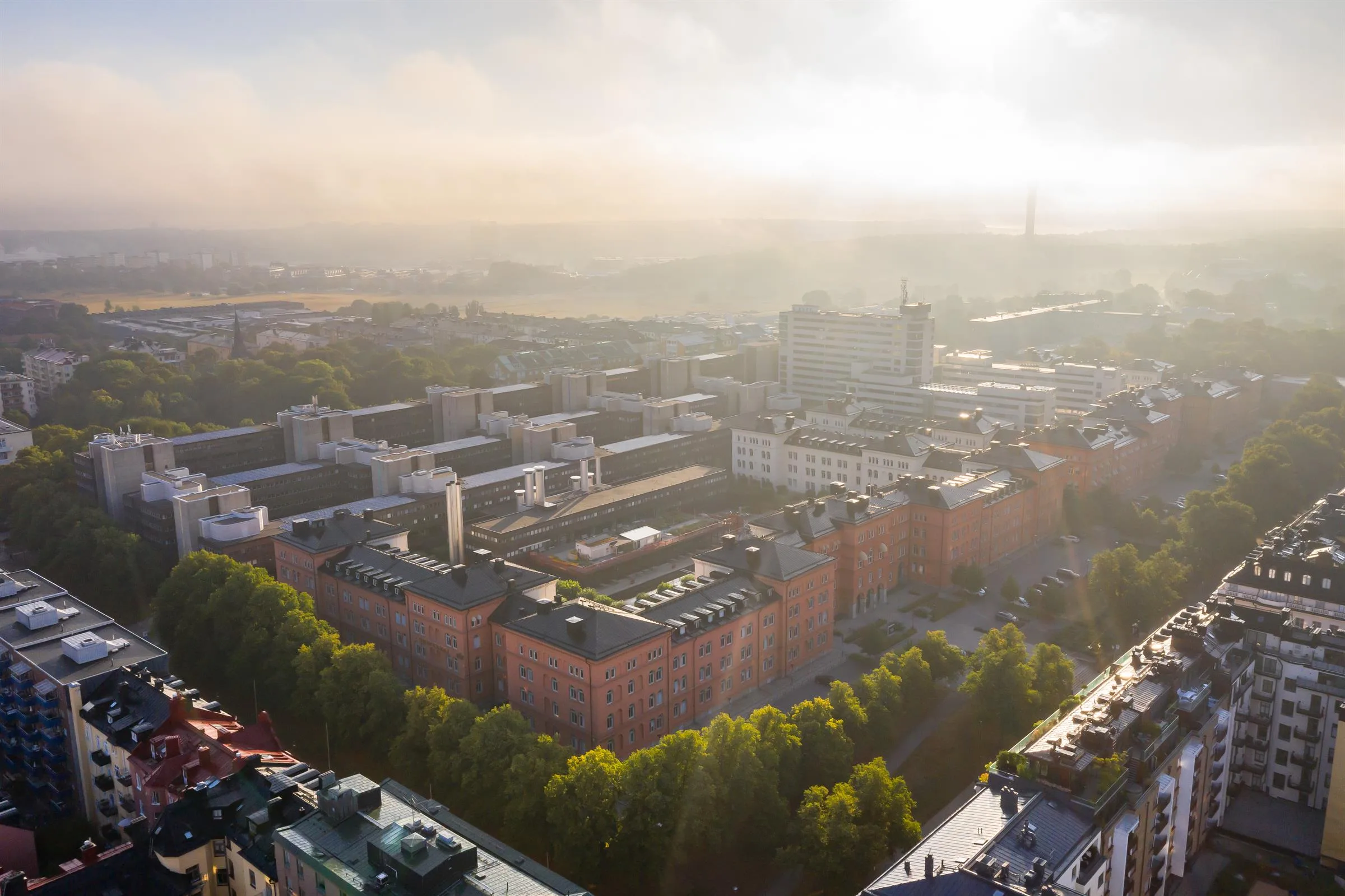 En vy från ovan av ett stadsområde med röda byggnader, grönska och dimma i bakgrunden.
