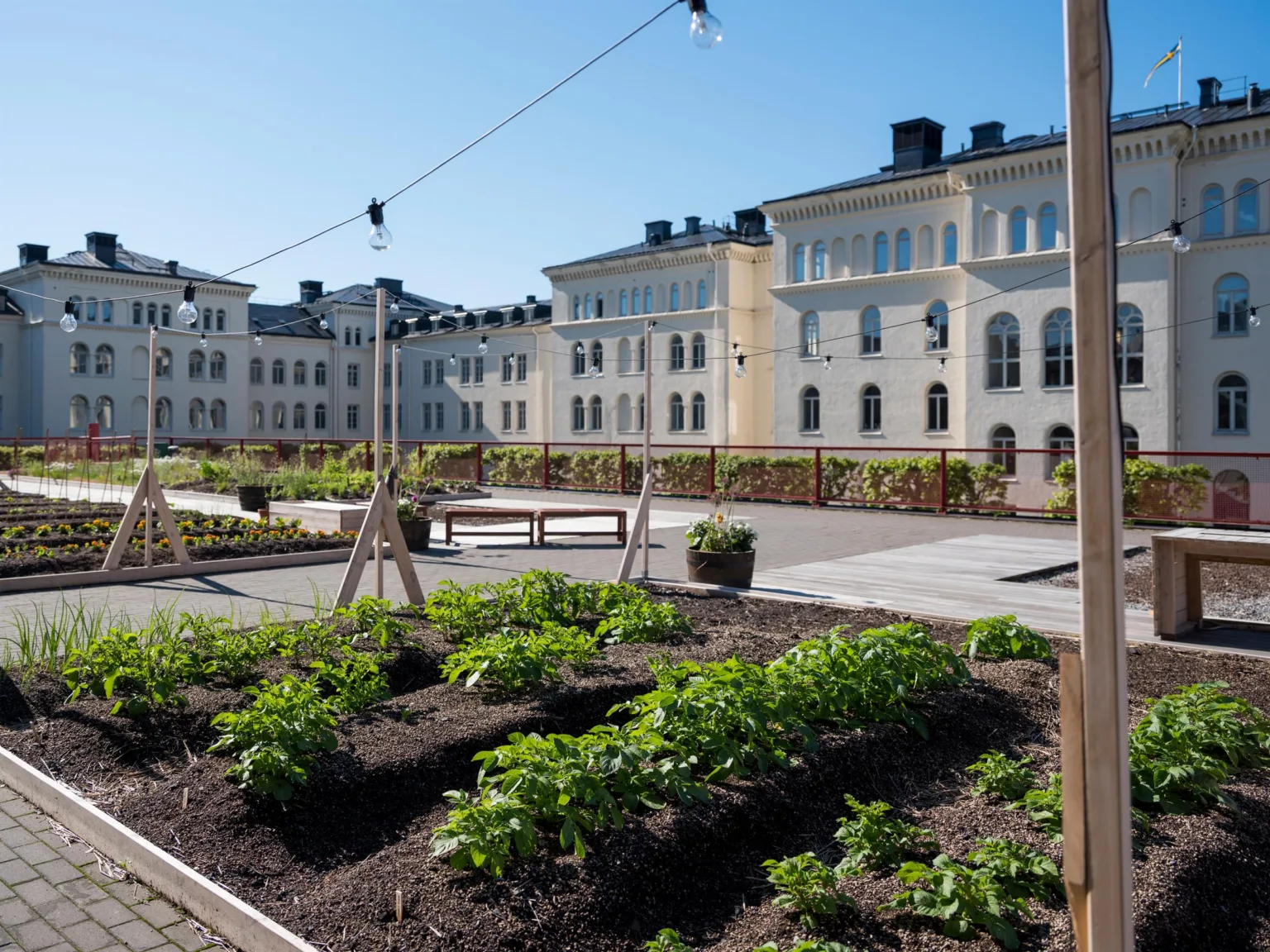 3. En urban trädgård med planteringsbäddar och belysningslinor, omgiven av historiska byggnader.