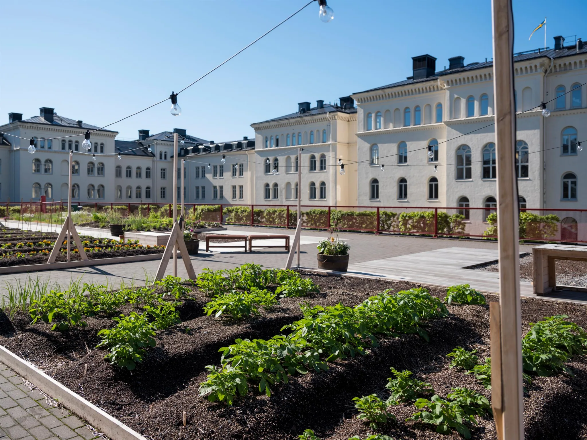 3. En urban trädgård med planteringsbäddar och belysningslinor, omgiven av historiska byggnader.