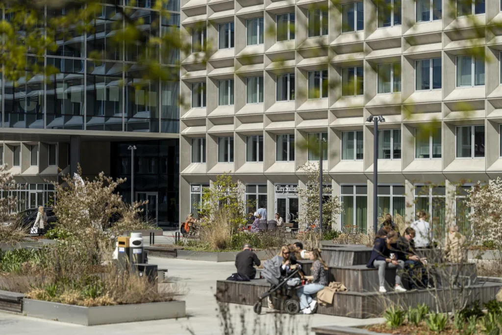 Personer sitter och umgås på bänkar i en grön innergård vid en byggnad med många fönster.