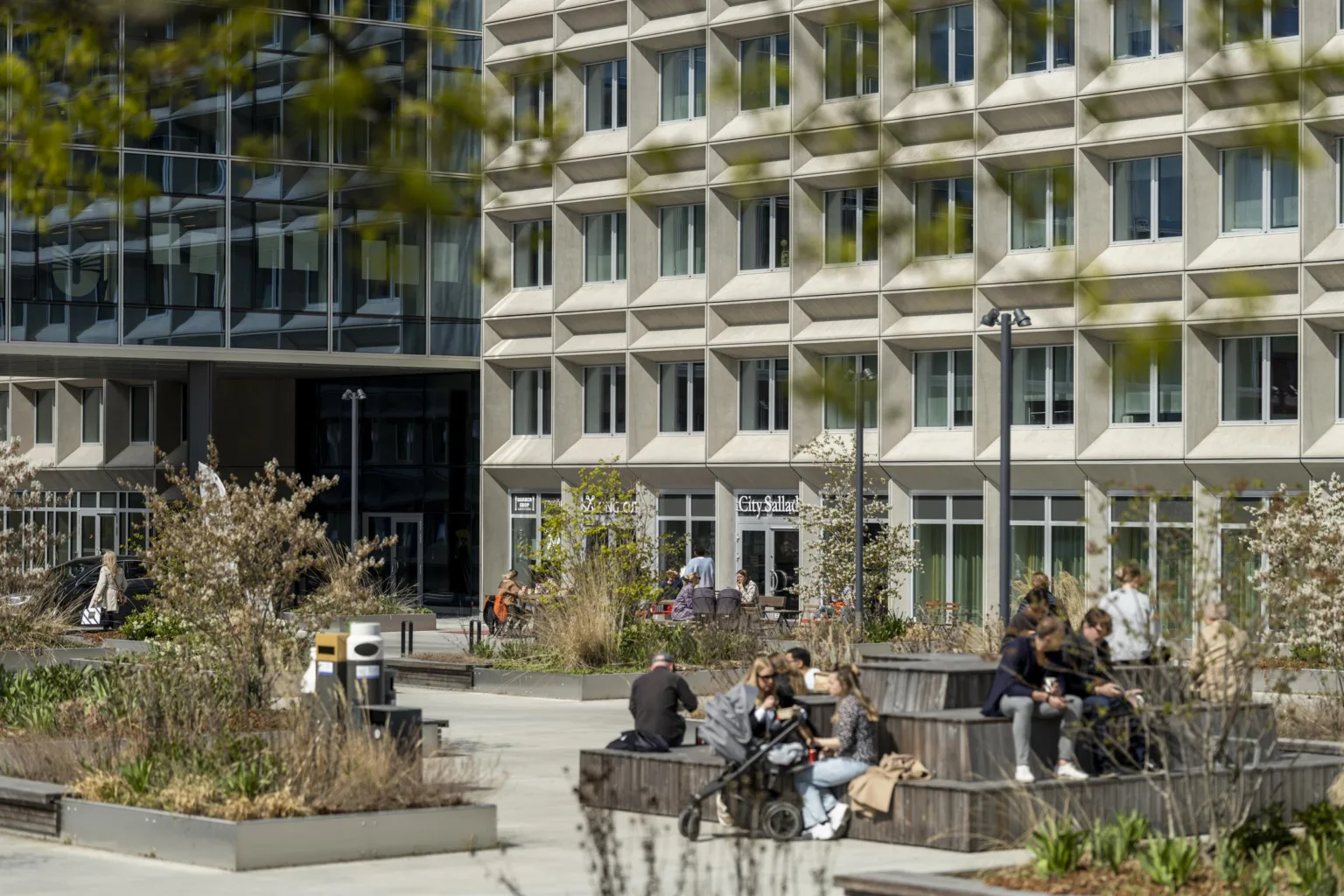 Personer sitter och umgås på bänkar i en grön innergård vid en byggnad med många fönster.