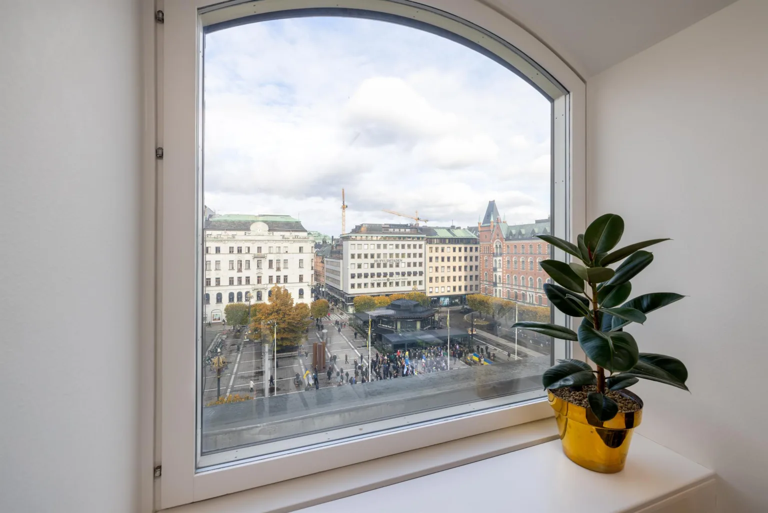 Utsikt från ett välvt fönster som visar en stadsmiljö med byggnader och träd, samt en krukväxt i förgrunden.