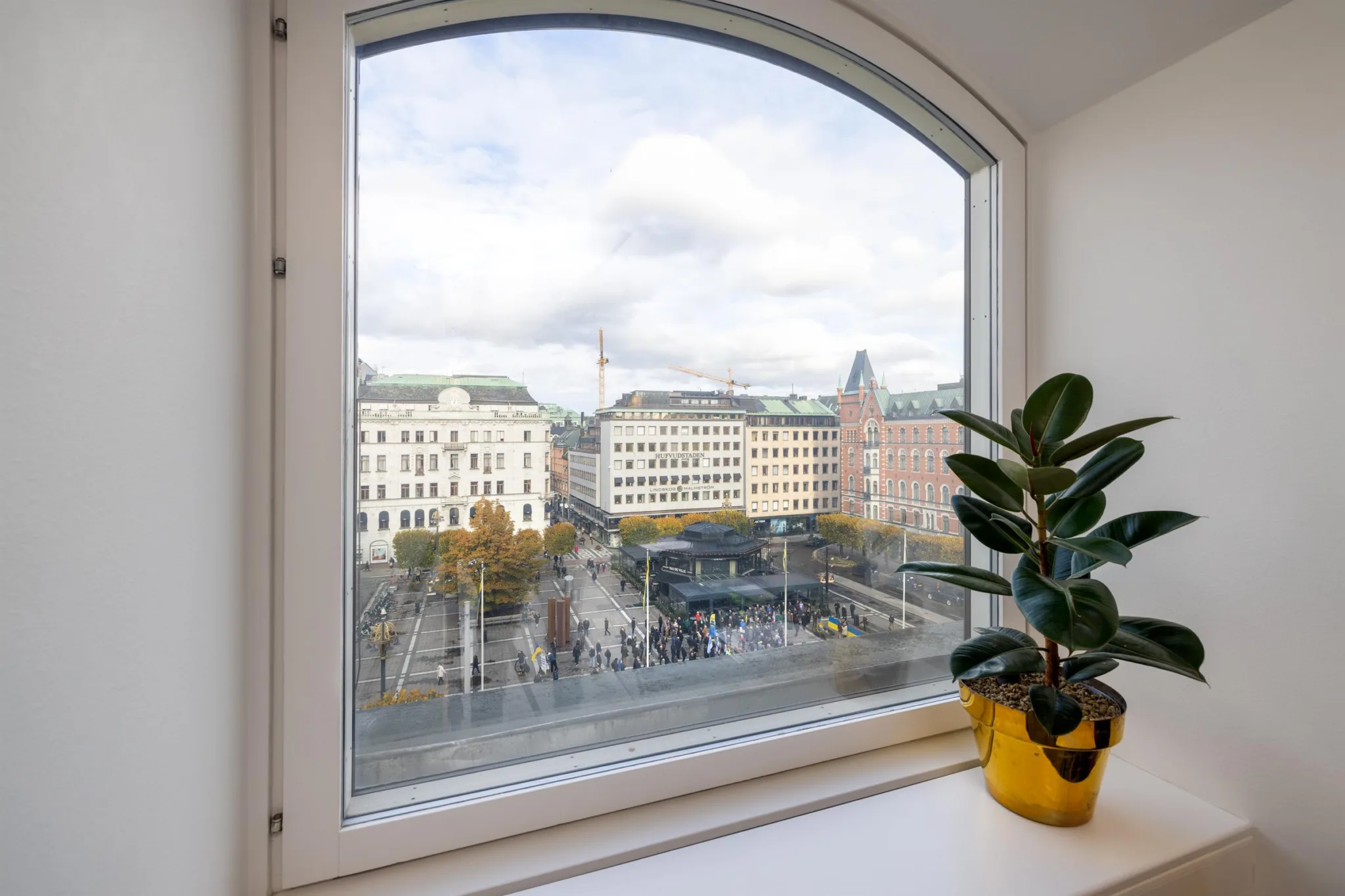 Utsikt från ett välvt fönster som visar en stadsmiljö med byggnader och träd, samt en krukväxt i förgrunden.