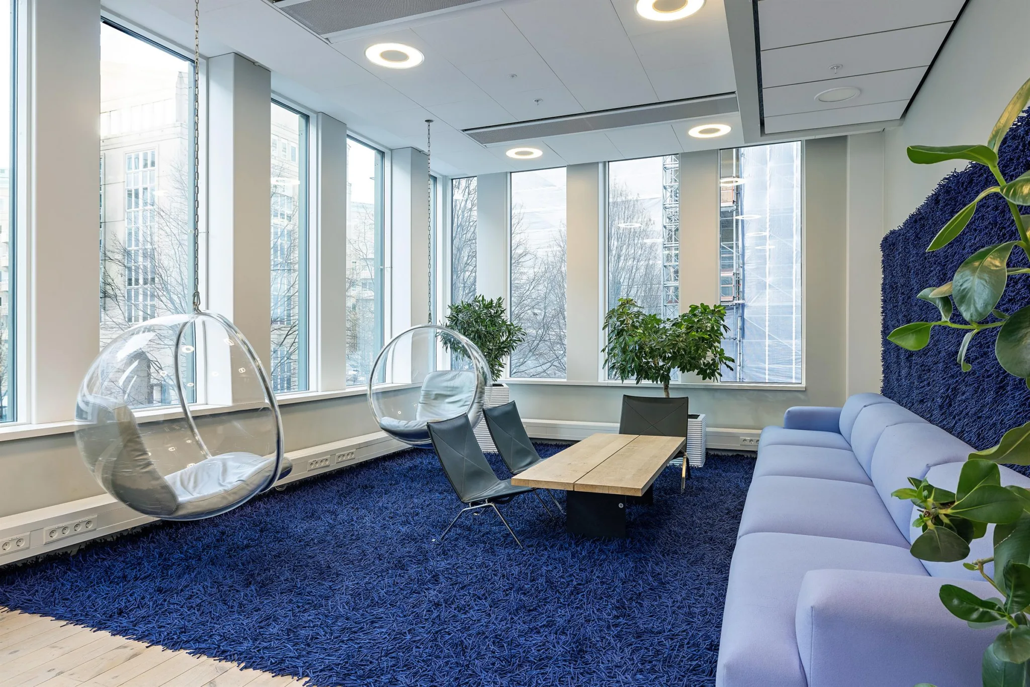 En lounge med en blå matta, en soffa, två stolar och hängande stolar bredvid stora fönster och gröna växter.