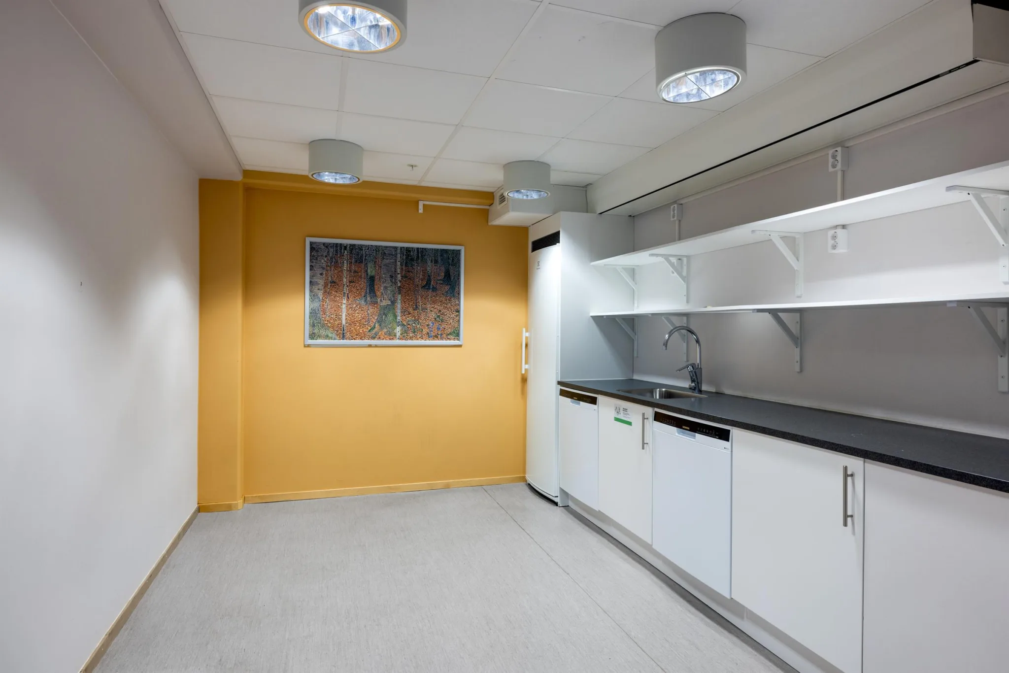 3. Ett kök med vita skåp, en diskbänk och en orange vägg med en tavla.