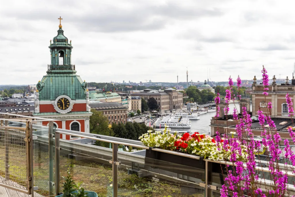 Vy över Stockholm med kyrktorn, vattendrag och blommor i förgrunden.