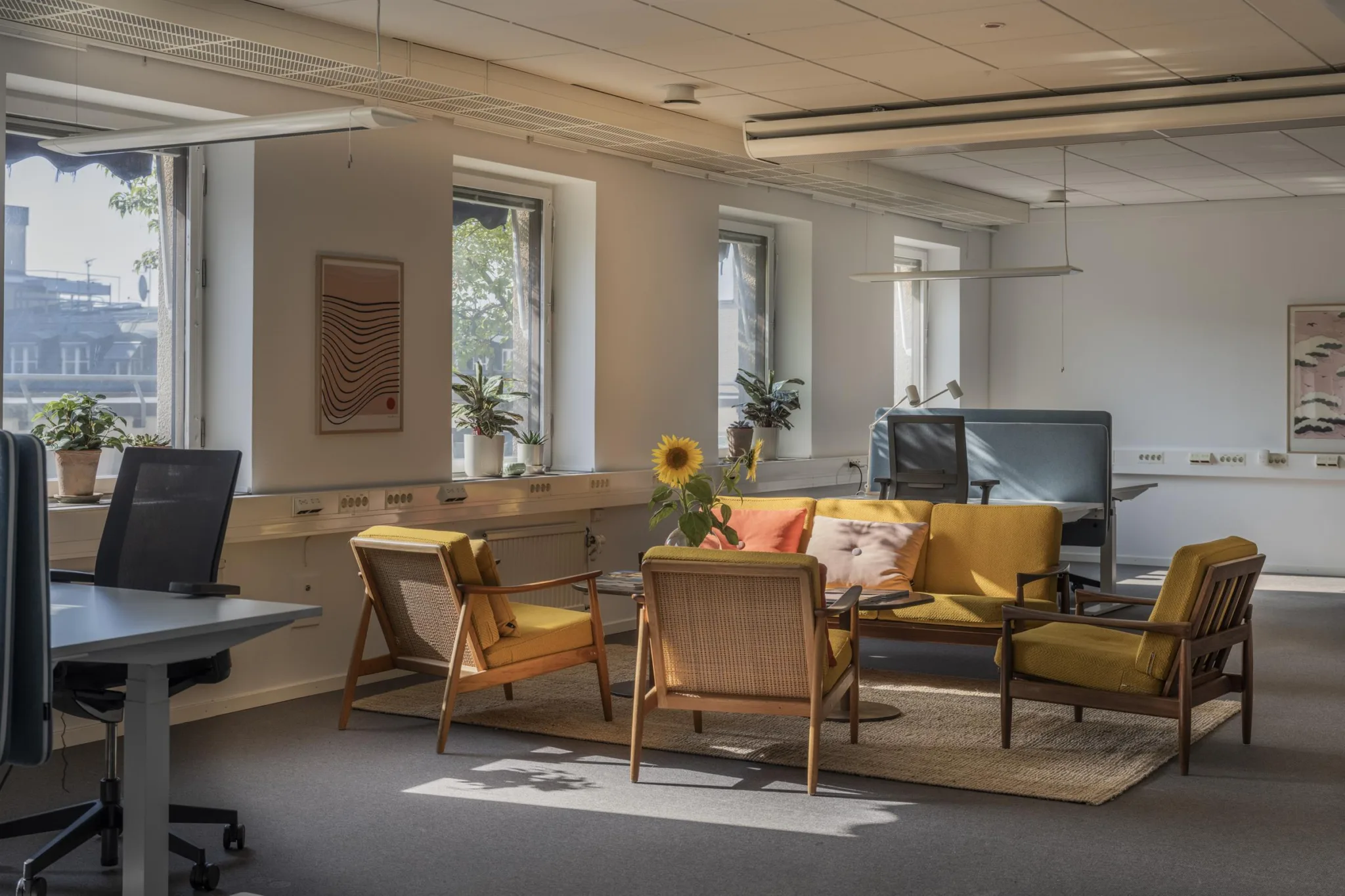 Ett kontorsrum med flera sittplatser, gula soffor, fåtöljer, ett glasbord med en solrosvas och flera fönster.