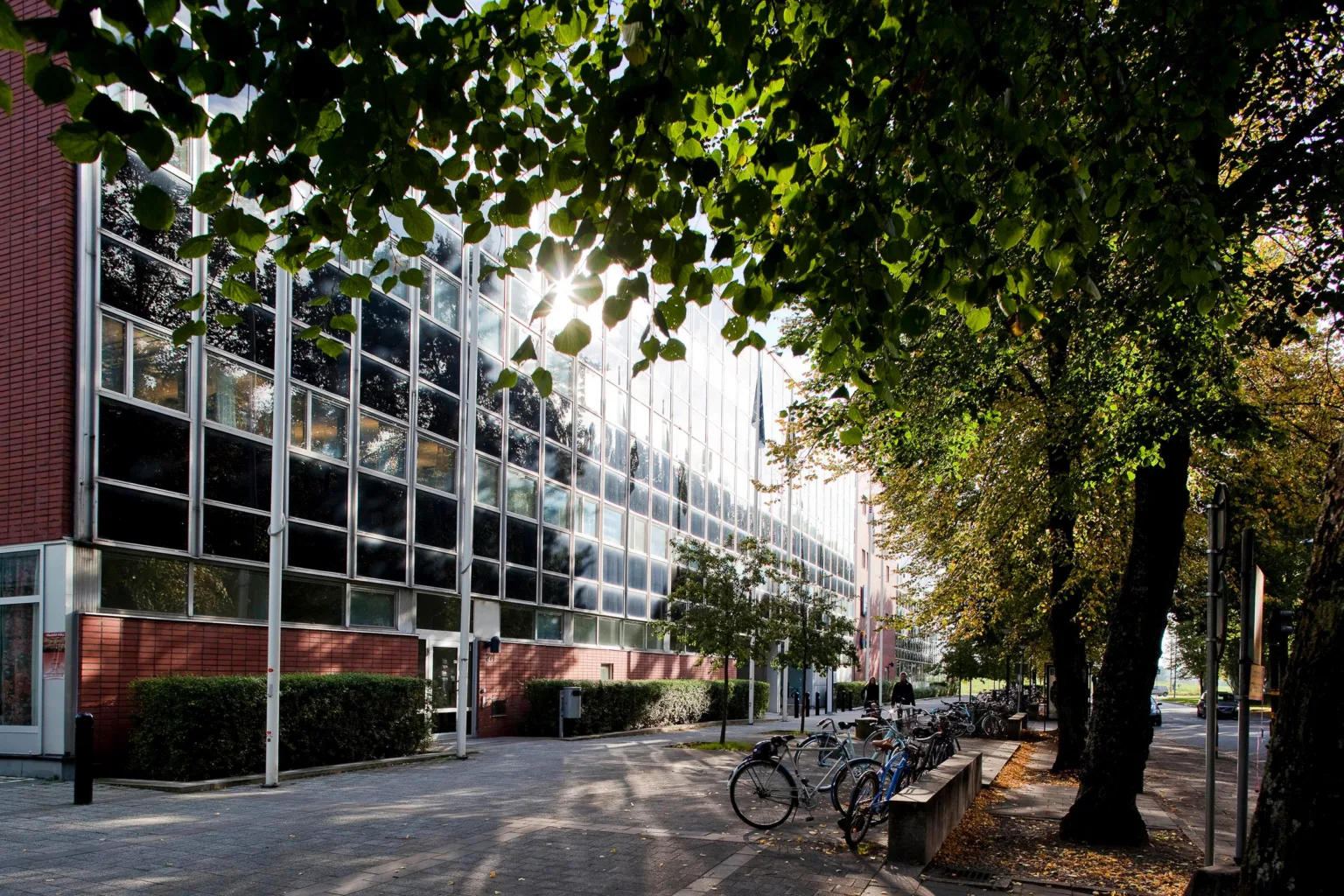 2. En modern glasbyggnad med träd och cyklar längs en gångväg i förgrunden.