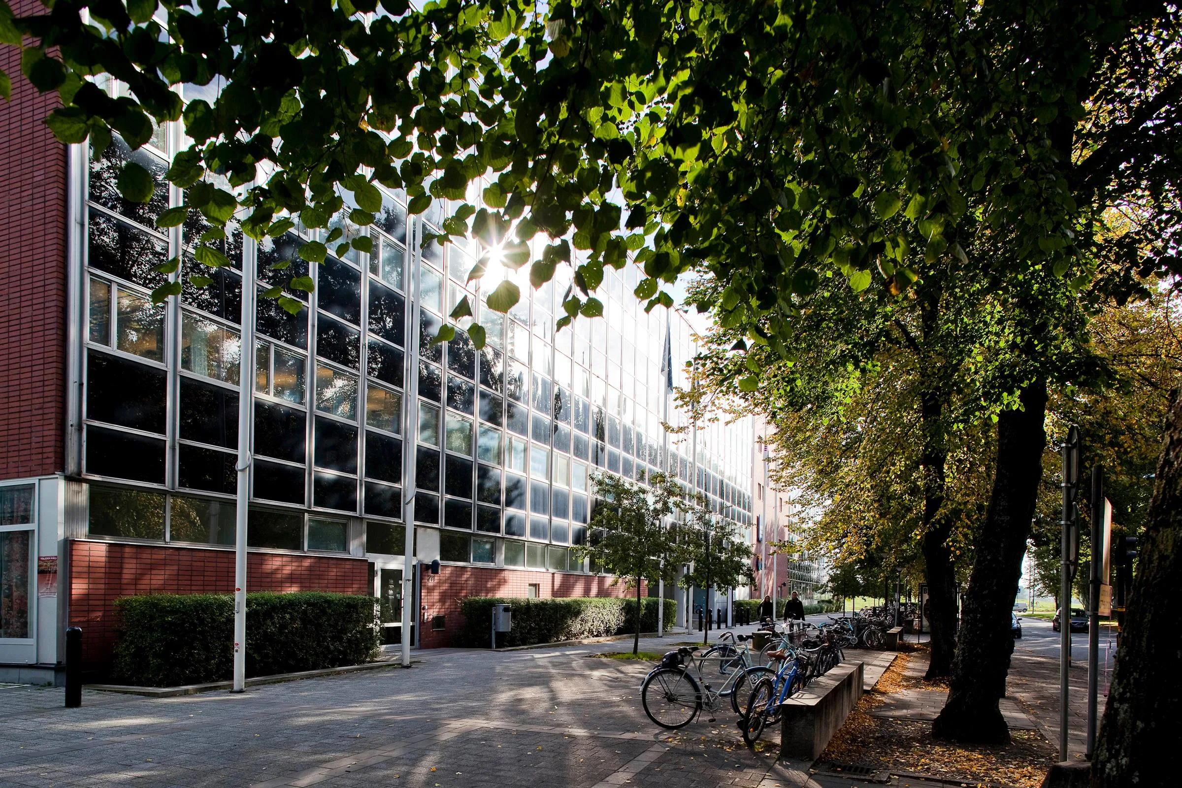 2. En modern glasbyggnad med träd och cyklar längs en gångväg i förgrunden.