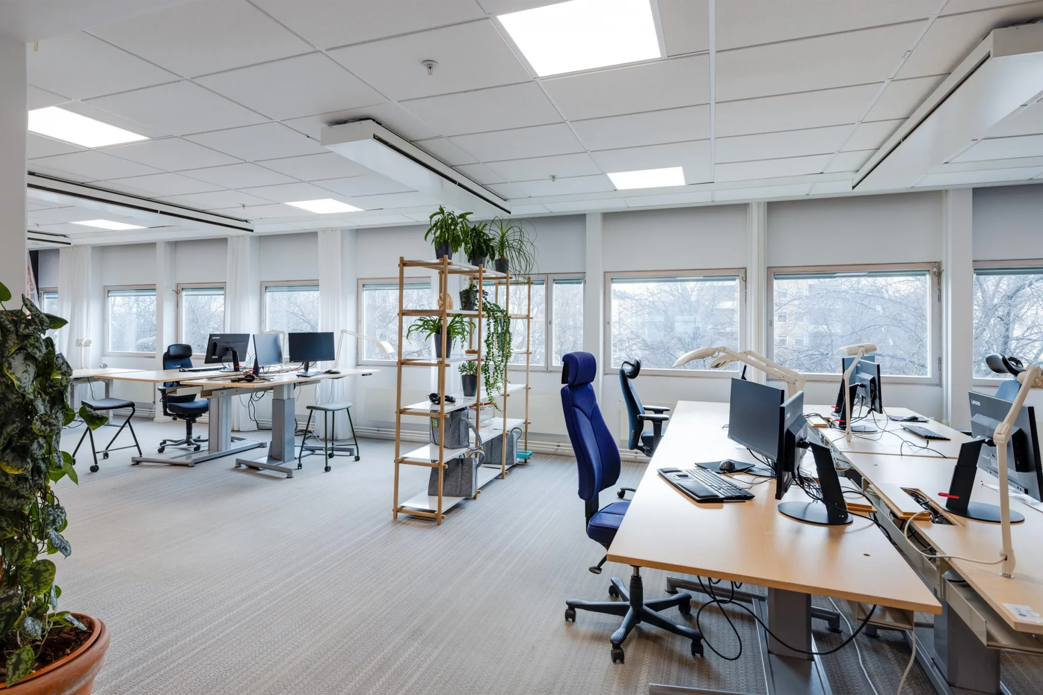 4. Ett kontorsutrymme med skrivbord, stolar, datorskärmar och en hylla med växter.