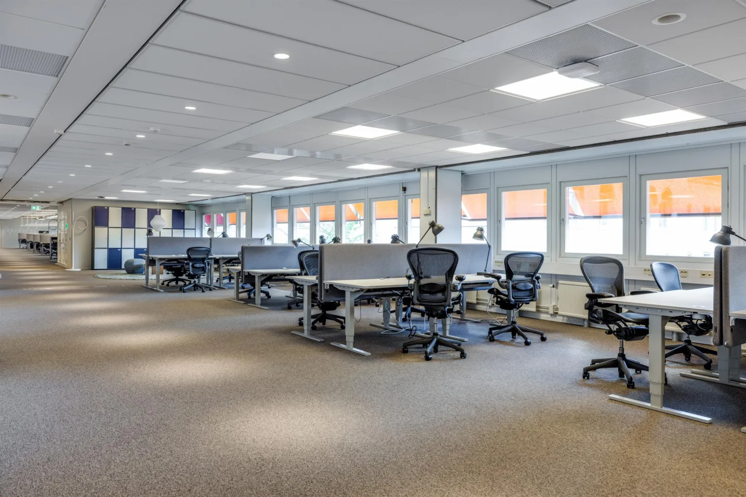 2. En arbetsplats med flera rader av skrivbord och svarta kontorsstolar nära stora fönster.