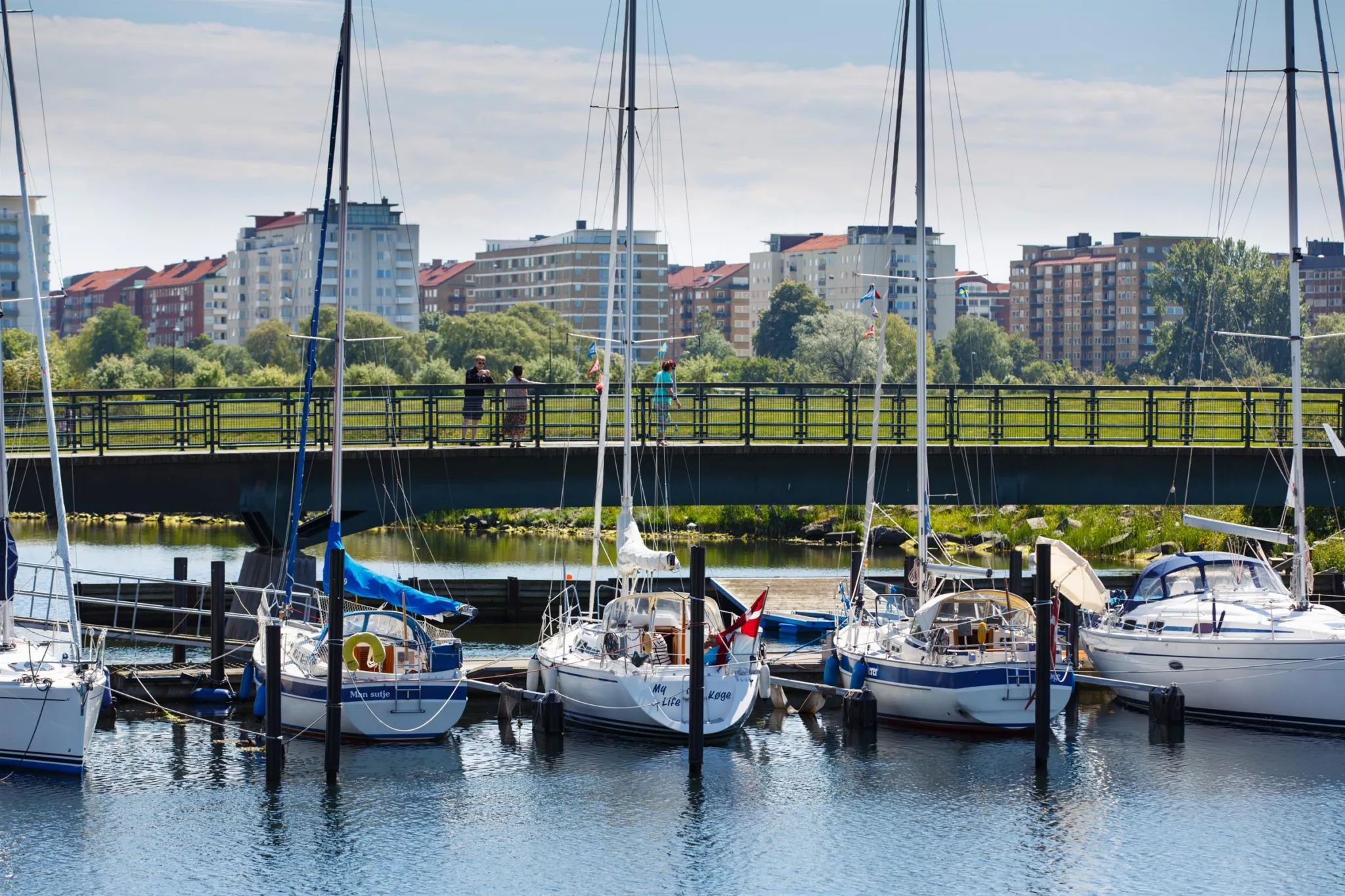 Små segelbåtar förtöjda vid en brygga, med en bro och byggnader i bakgrunden.