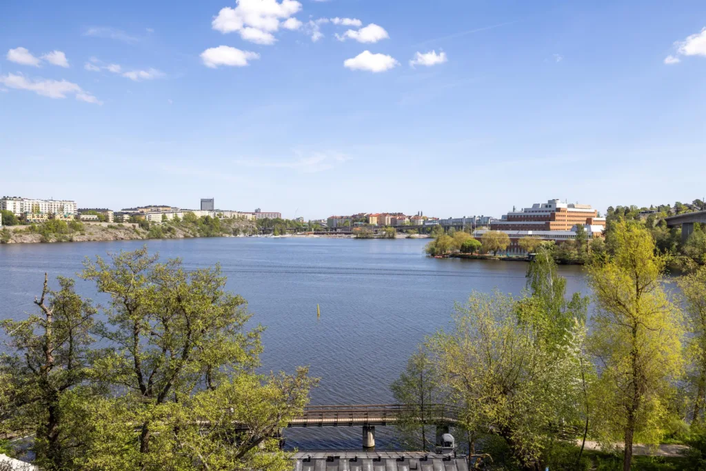 4. Utsikt över en sjö med träd och byggnader i bakgrunden under en klarblå himmel.