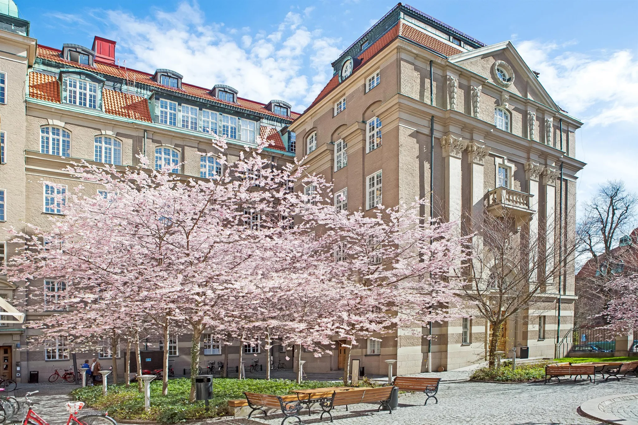 2. En byggnad med klassisk arkitektur omgiven av blommande körsbärsträd och en blå himmel.
