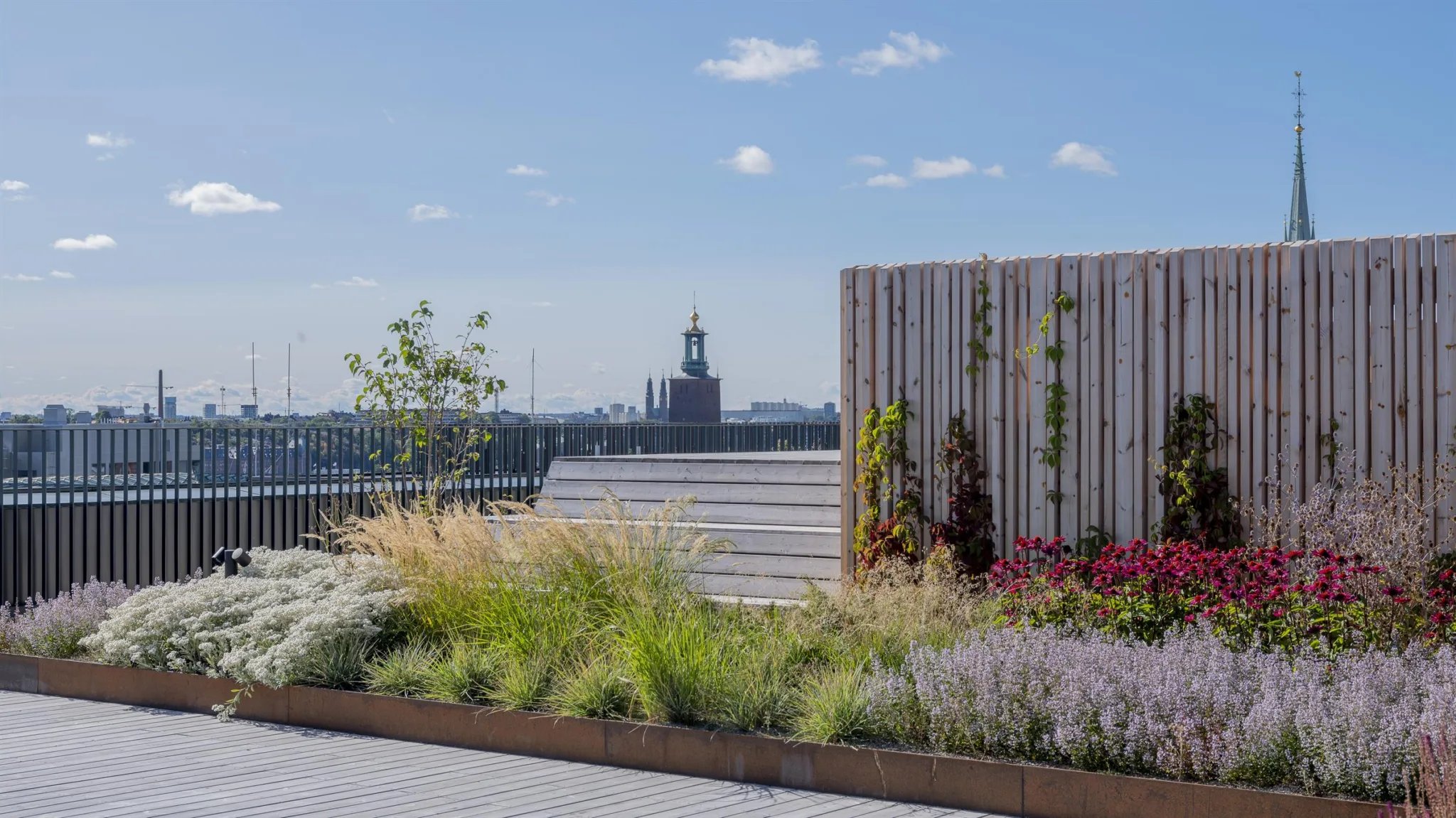 4. Takträdgård med gröna växter, blommor och utsikt mot stadshuset under en klarblå himmel.